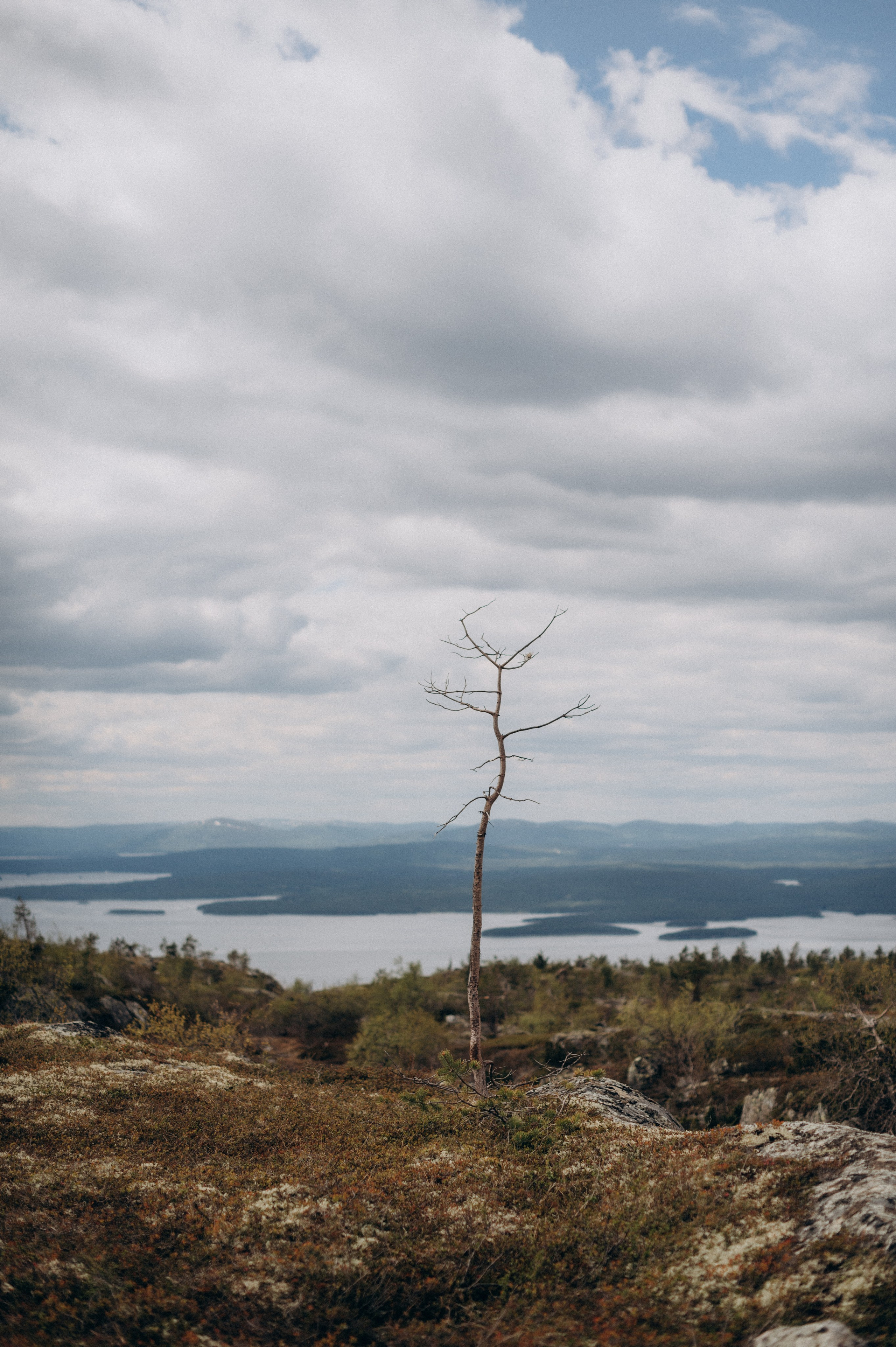 АВТОРСКИЕ ОТКРЫТКИ, 150руб. Фотограф Наталья Могилевская Мурманск Териберка Сейдозеро Рыбачий