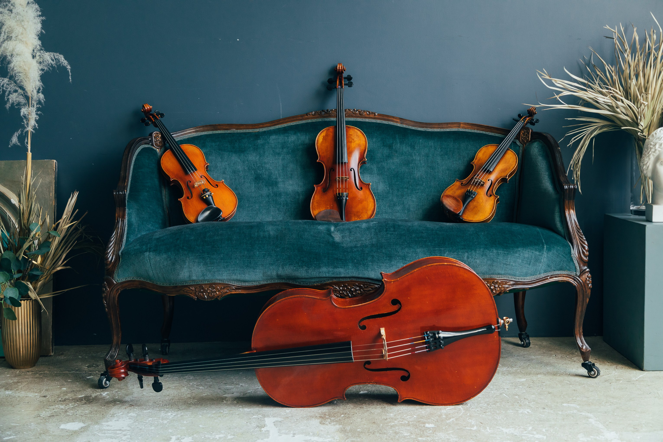 🎻. Фотограф Вика Про