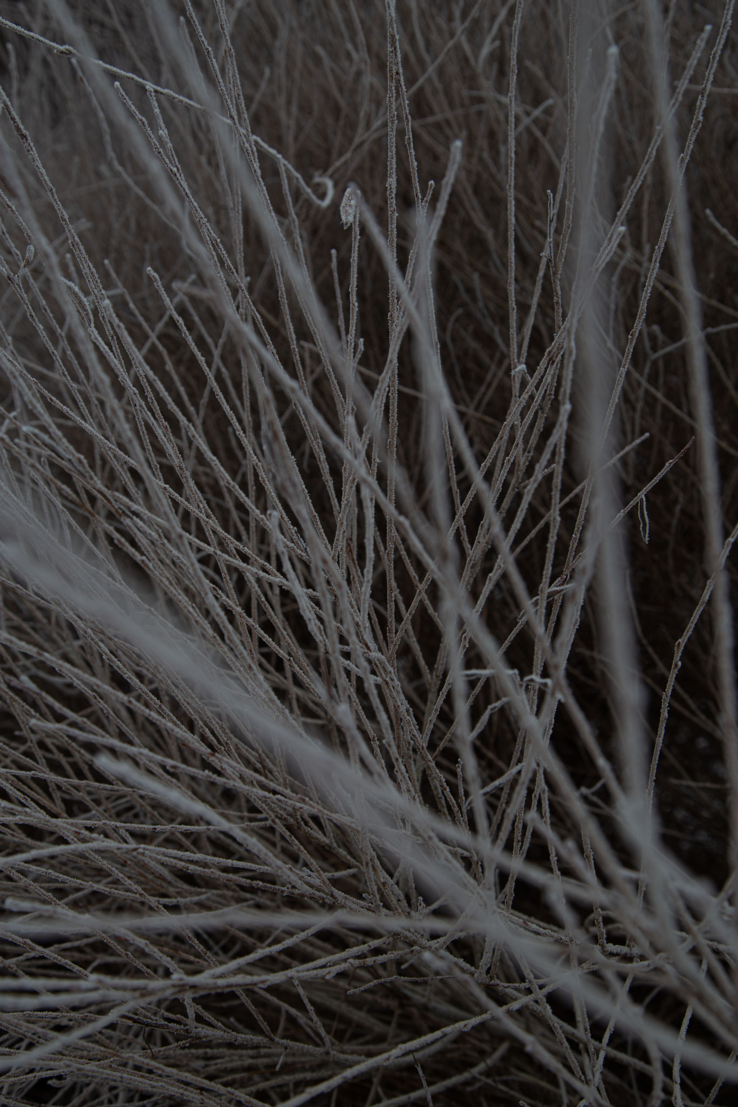 Воздух февраля. Dmitriy [KCCC] is a pretty cool photographer