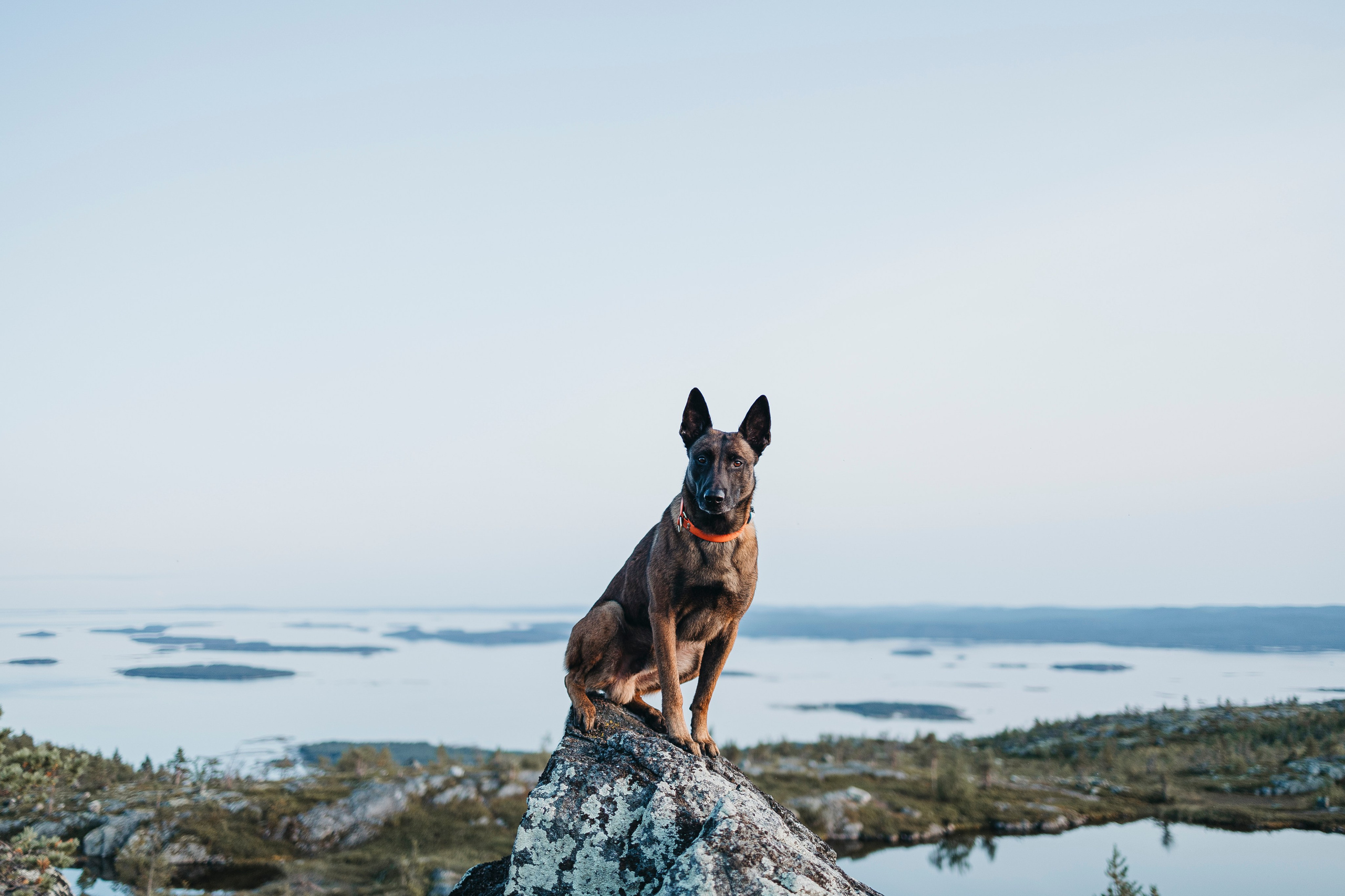 Горы. Фотограф-анималист Анна Маринич