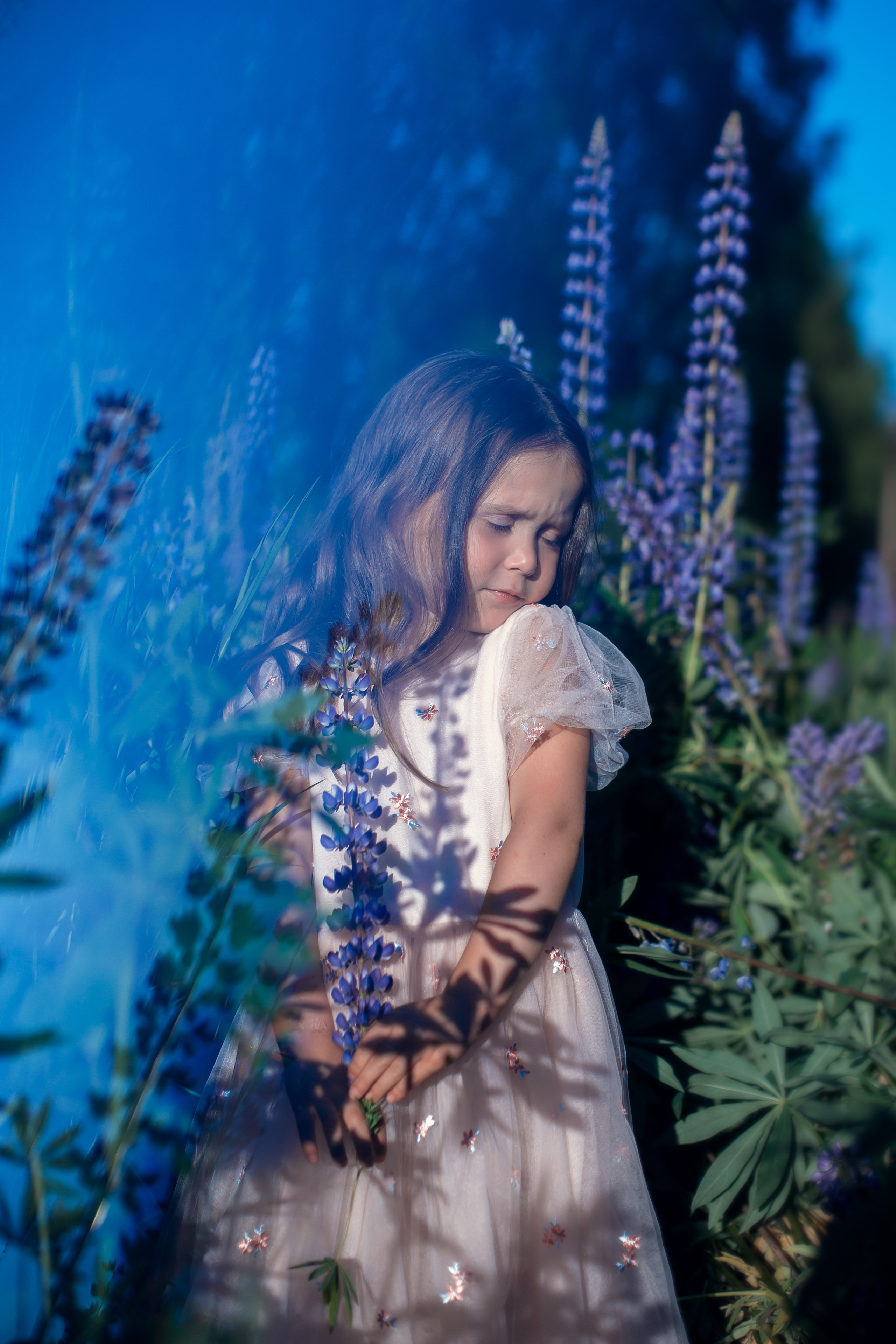 Люпины_Псковская область. Семейный фотограф в Санкт-Петербурге