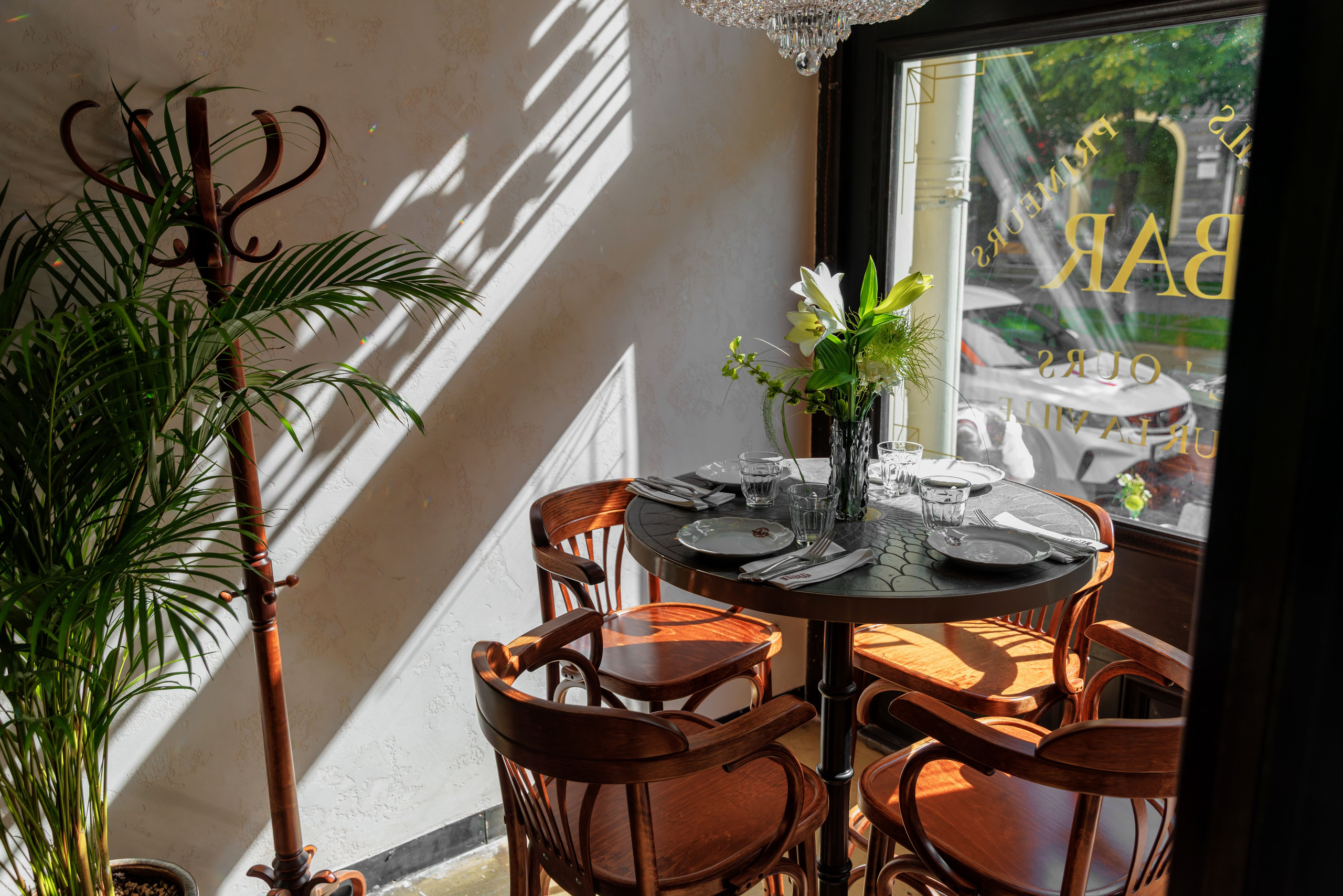 Медведь. Репортажный фотограф в Санкт-Петербурге Жолудев Владислав