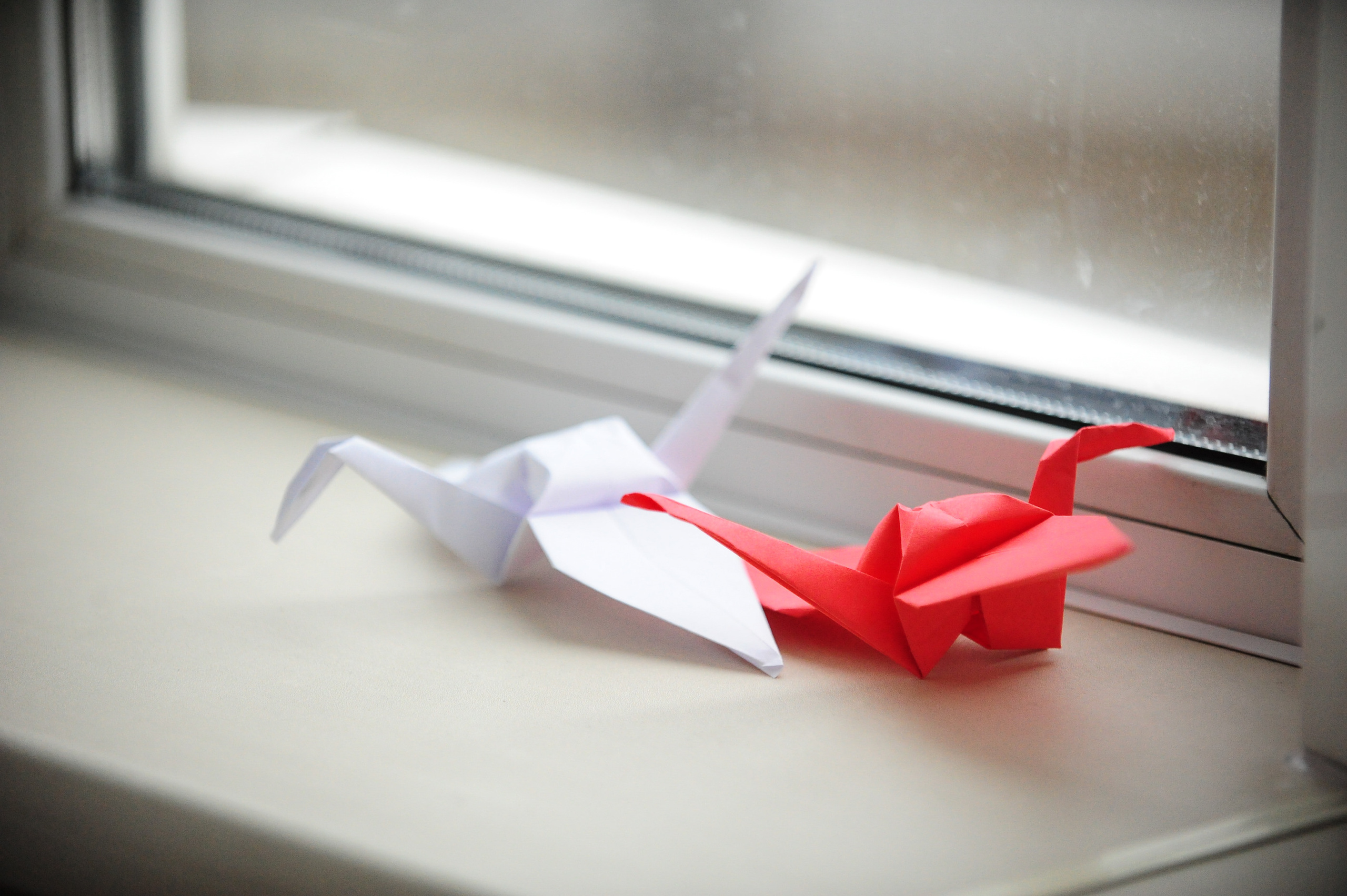 Синтез 2023. Фотограф в Новосибирске Полина Колмачевская