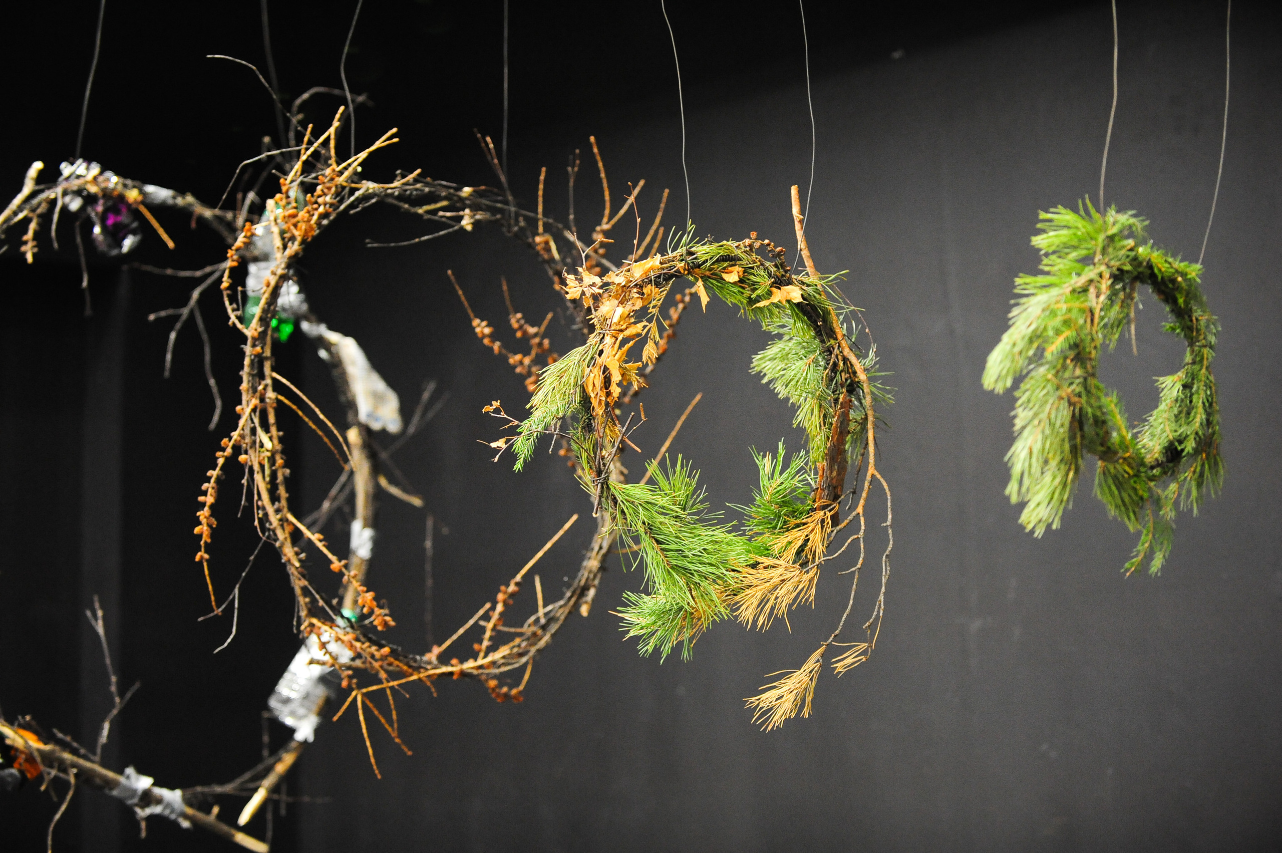 Синтез 2023. Фотограф в Новосибирске Полина Колмачевская