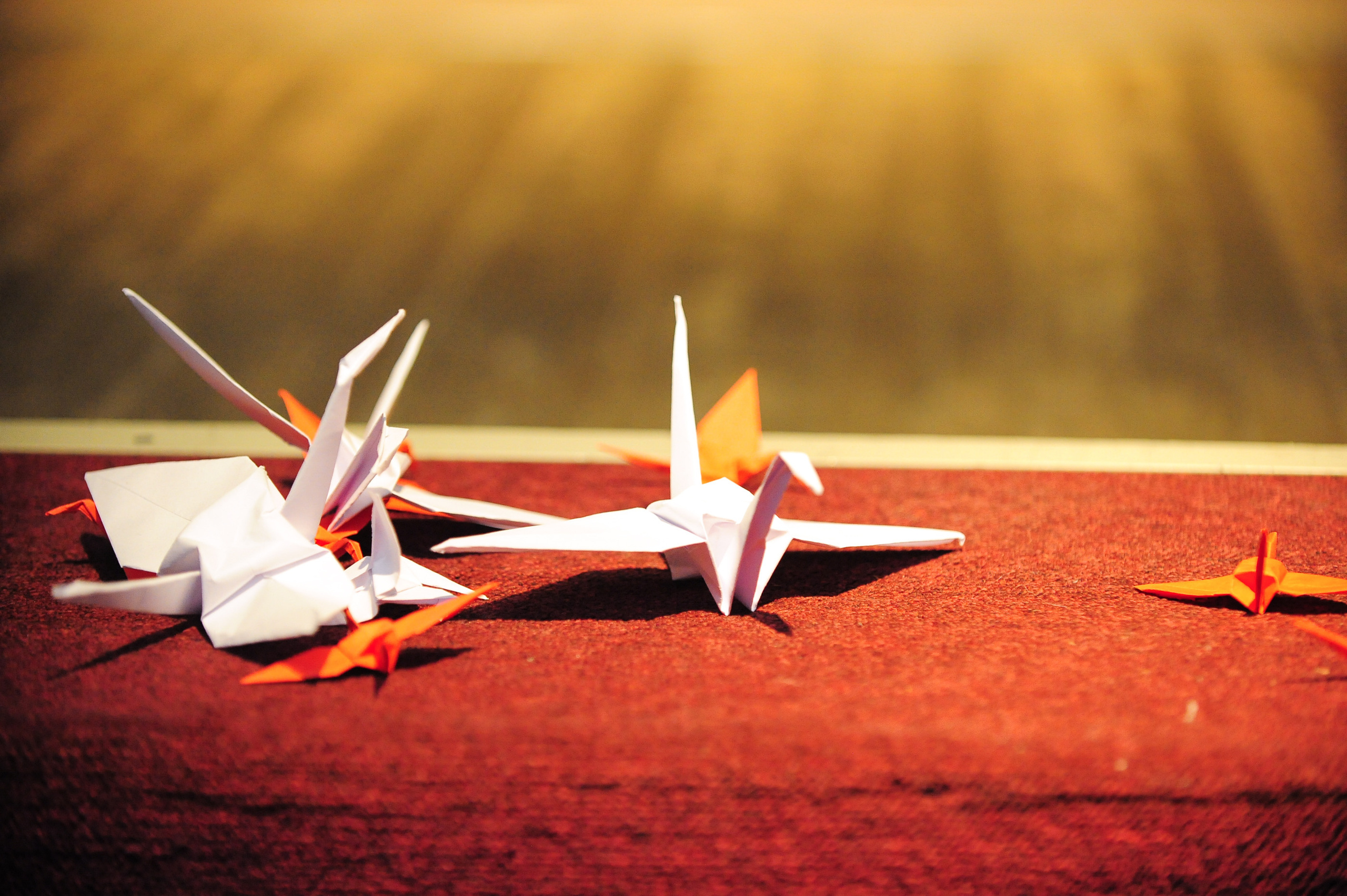 Синтез 2023. Фотограф в Новосибирске Полина Колмачевская