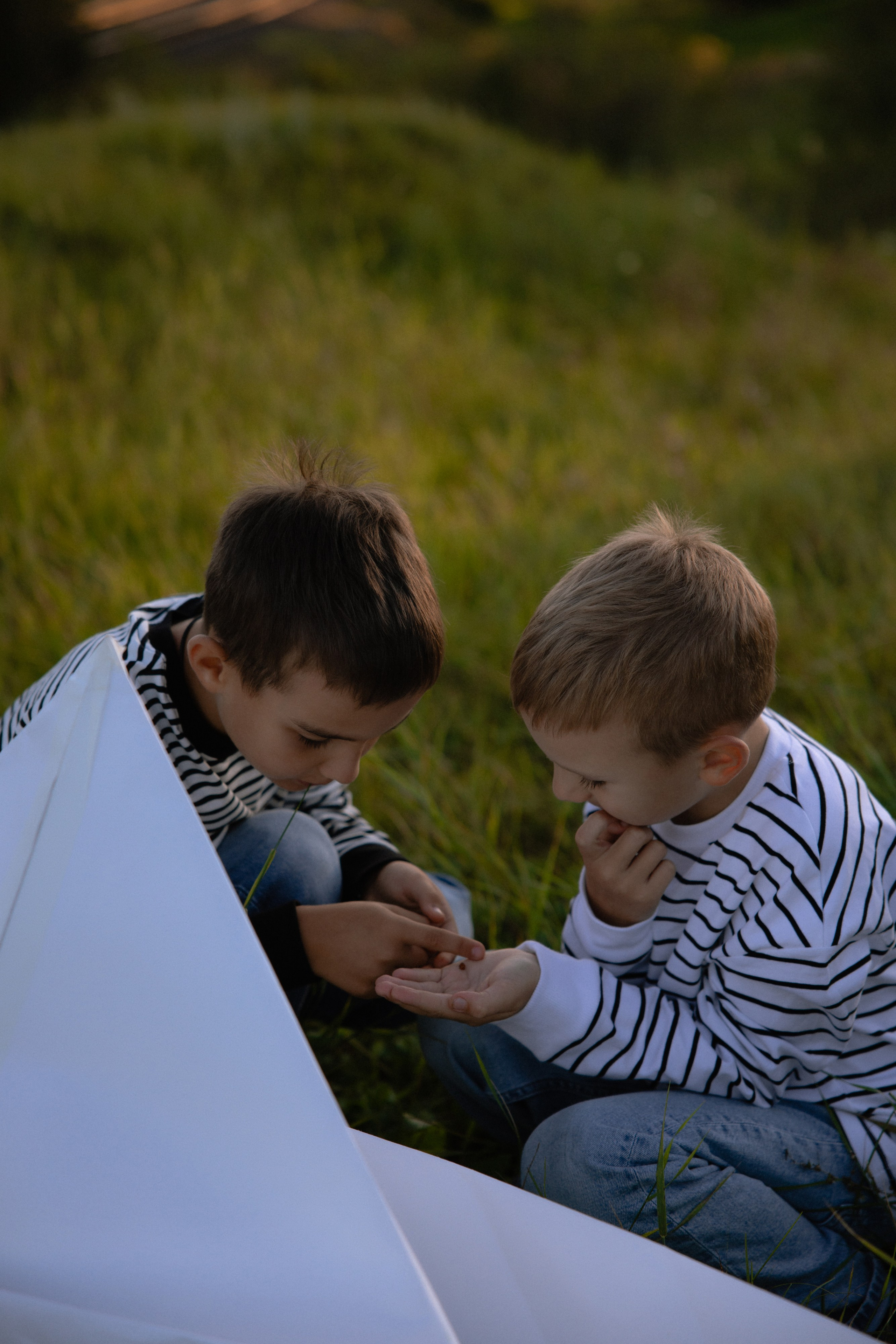Два брата. Семейный фотограф Губкин/Старый Оскол