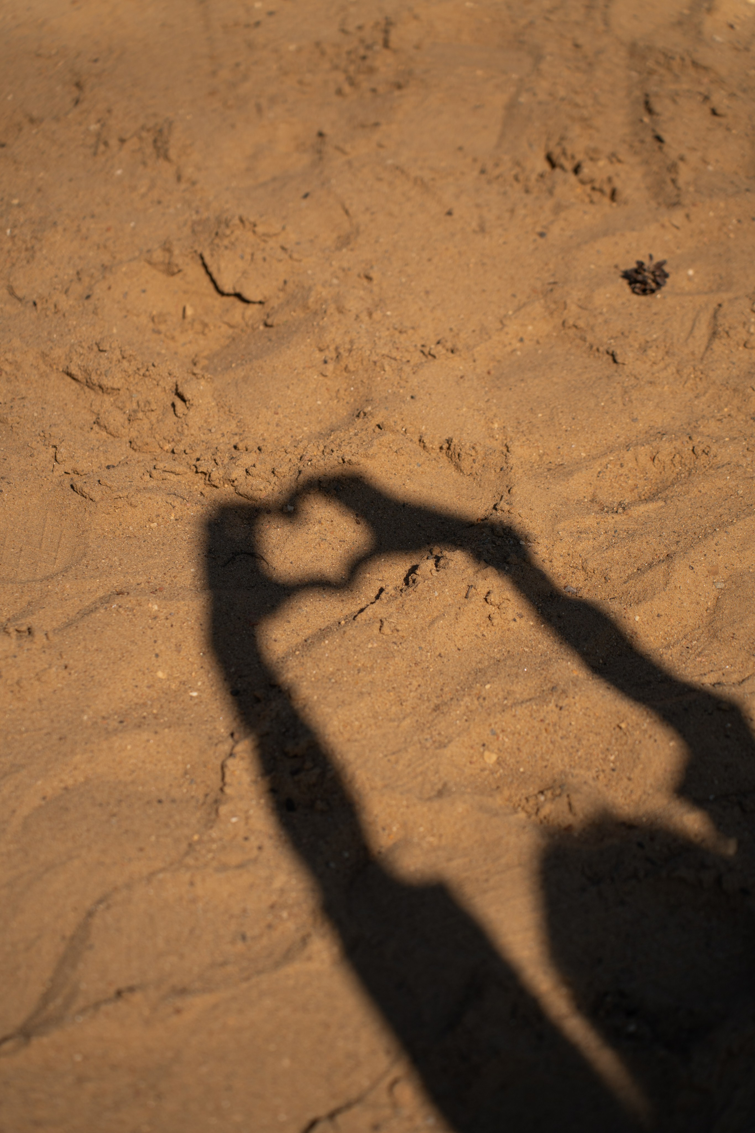 Луиза. Фотограф в Москве Ксения Насокина