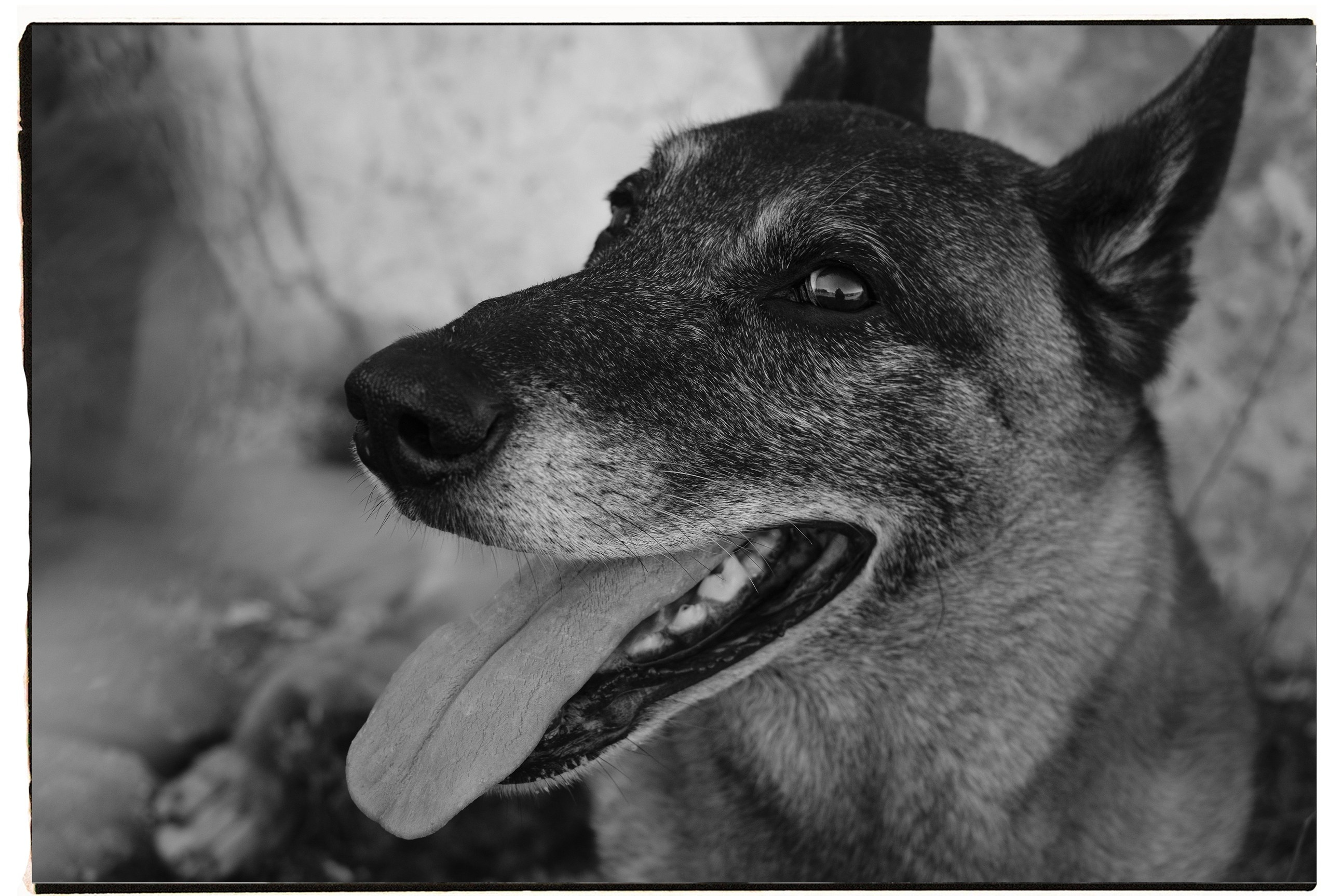 ФОТО. Фотохудожник и видеограф в Петербурге Валерия Кондаурова