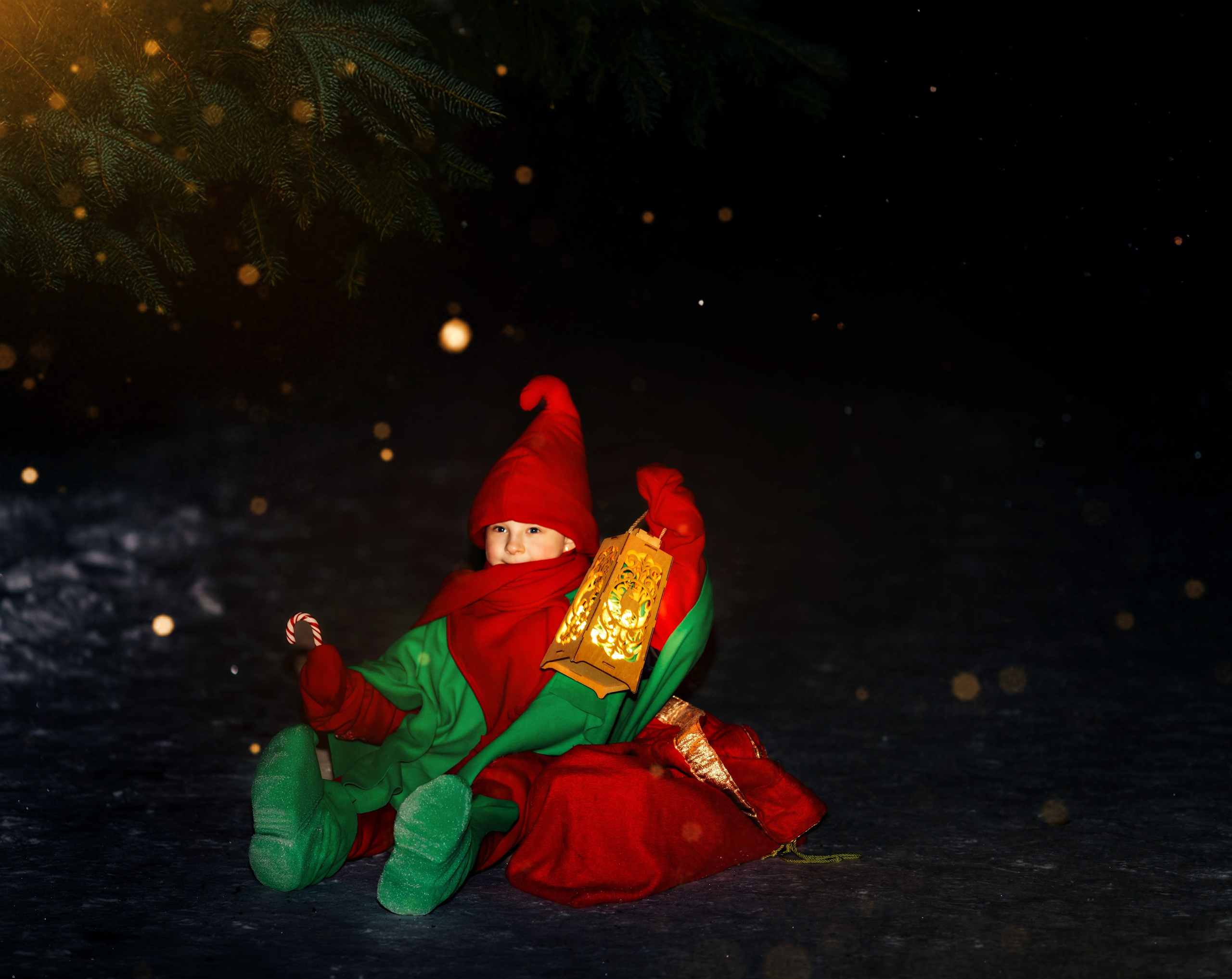 Новогодние гномики. Семейный, свадебный и детский фотограф в Новосибирске Ольга Хидченко