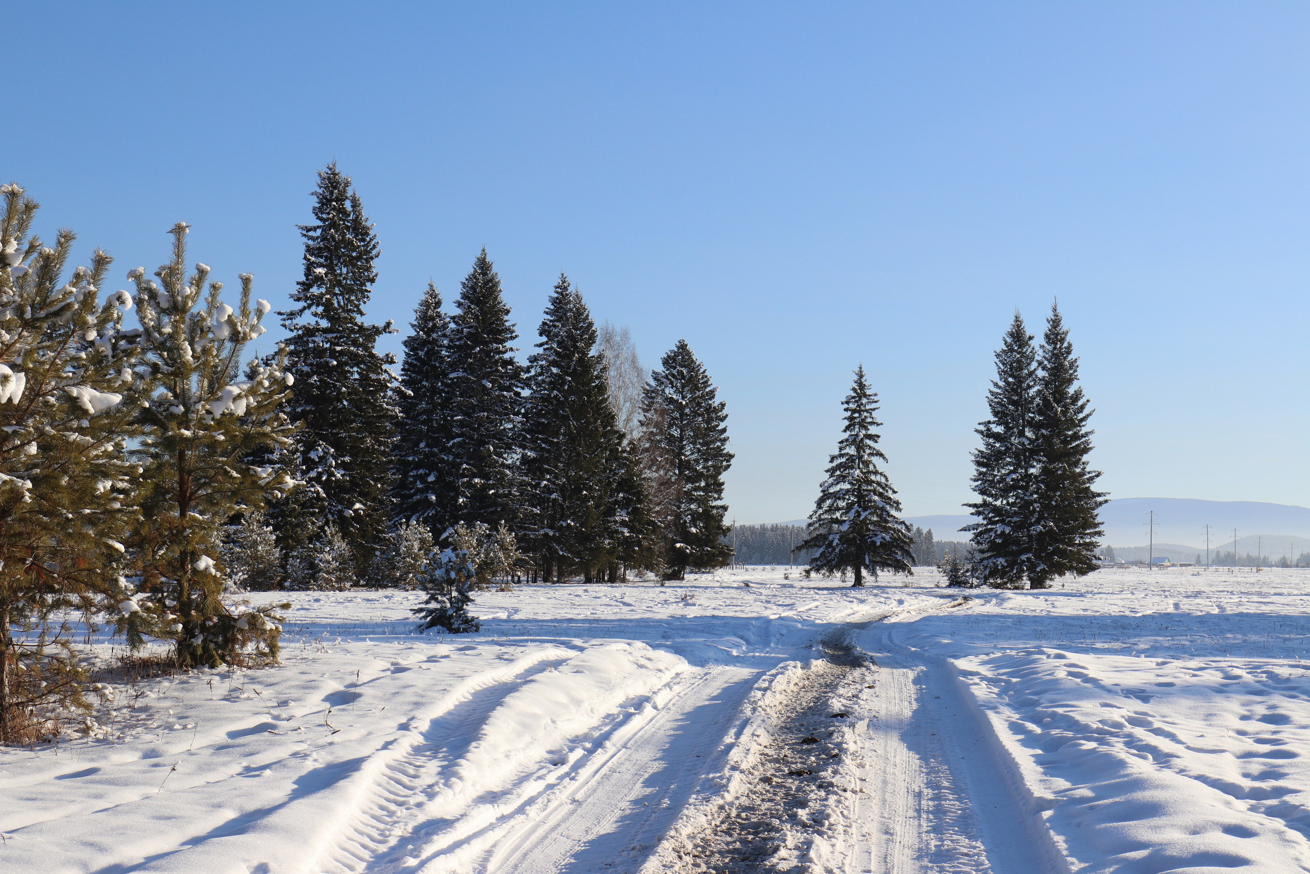 Аршан. Январь 2022. Путешественник-фотограф из Санкт-Петербурга Татьяна Свистулина