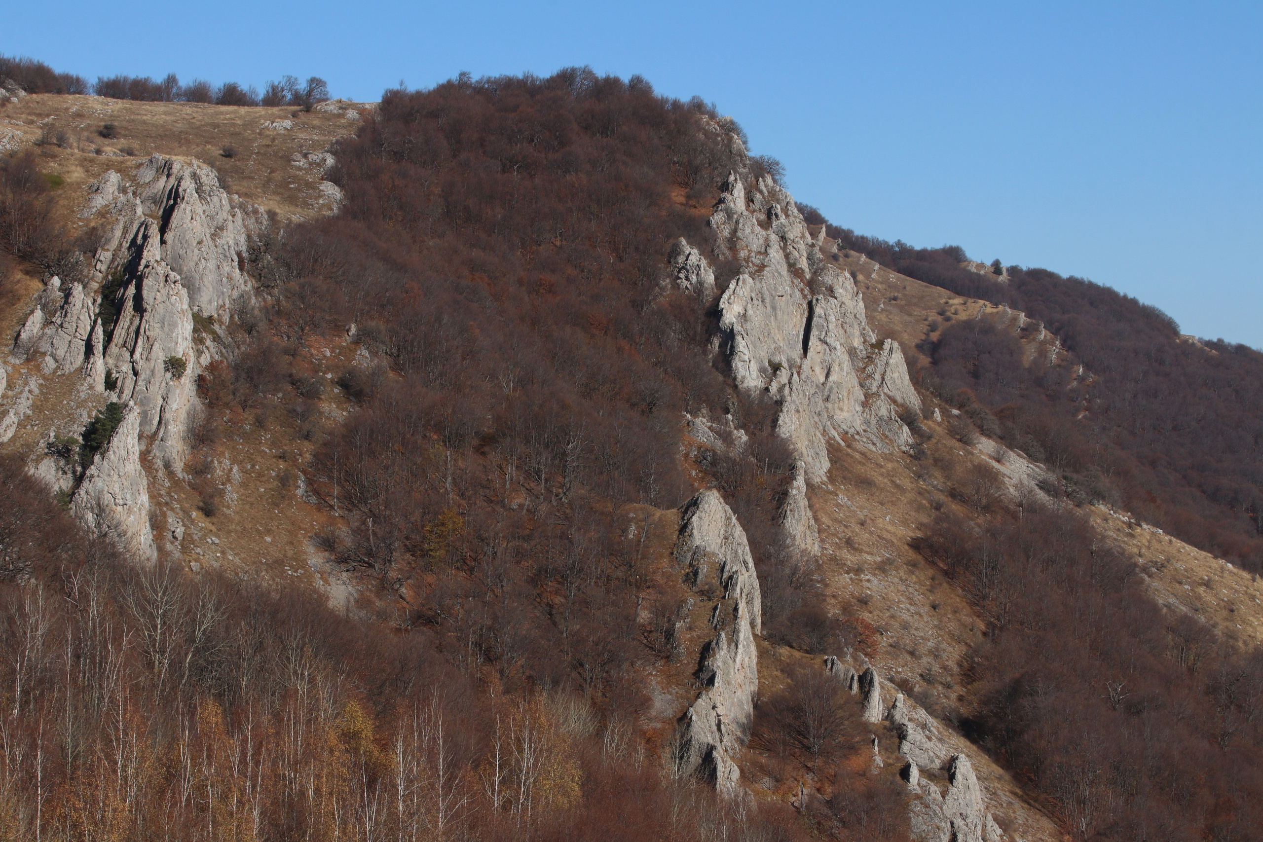 Крым. ЮБК (Гурзуф, Судак и их окрестности). Ноябрь 2023. Путешественник-фотограф из Санкт-Петербурга Татьяна Свистулина
