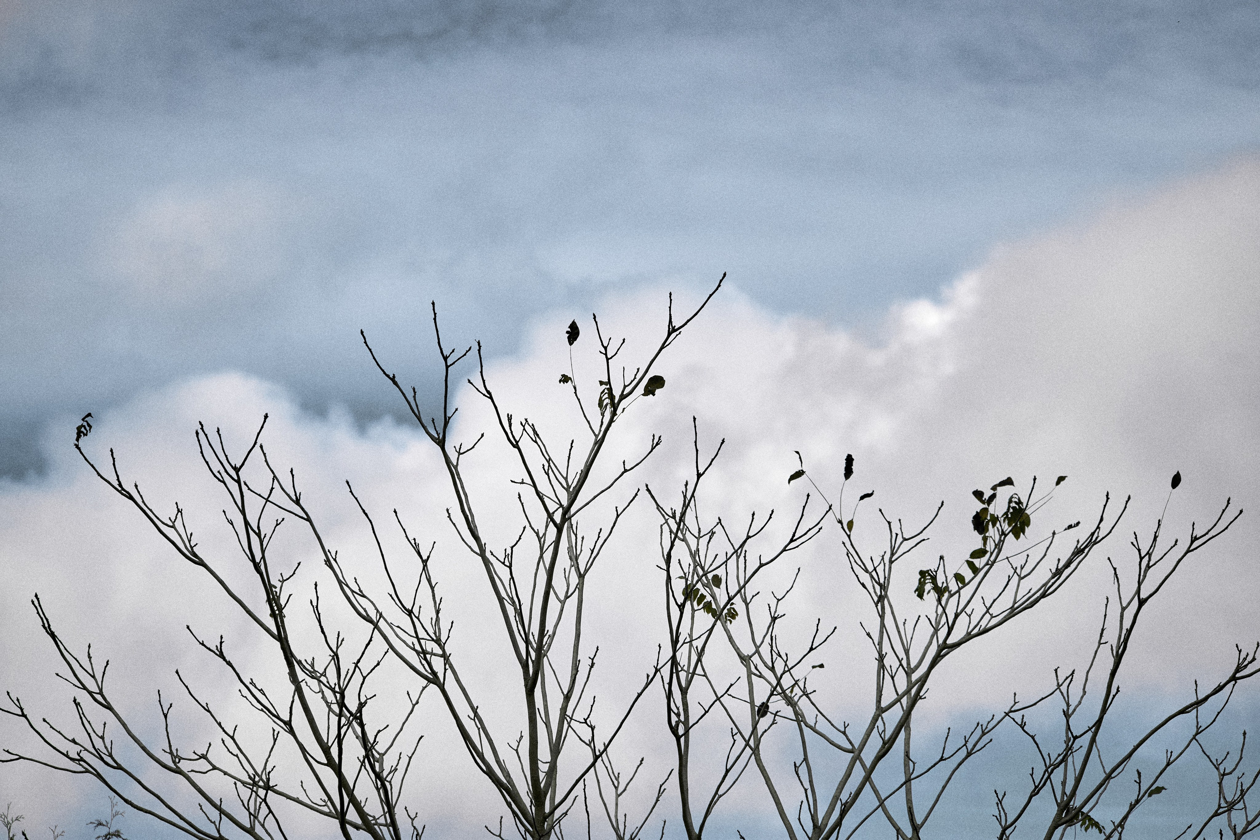 ph: Шабунаев Михаил