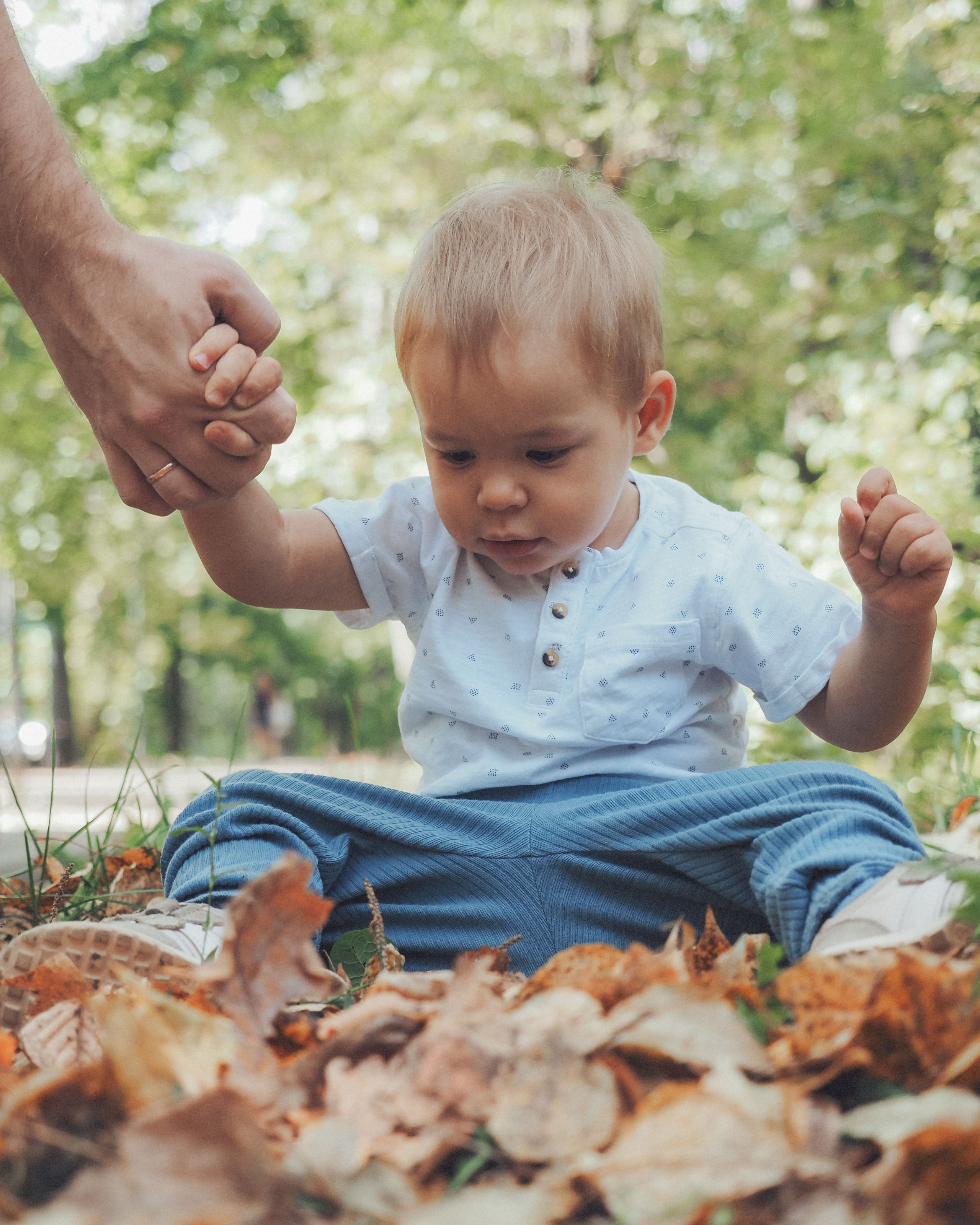 Привет осень!. Фотограф в Москве — Сергей Люкшинов