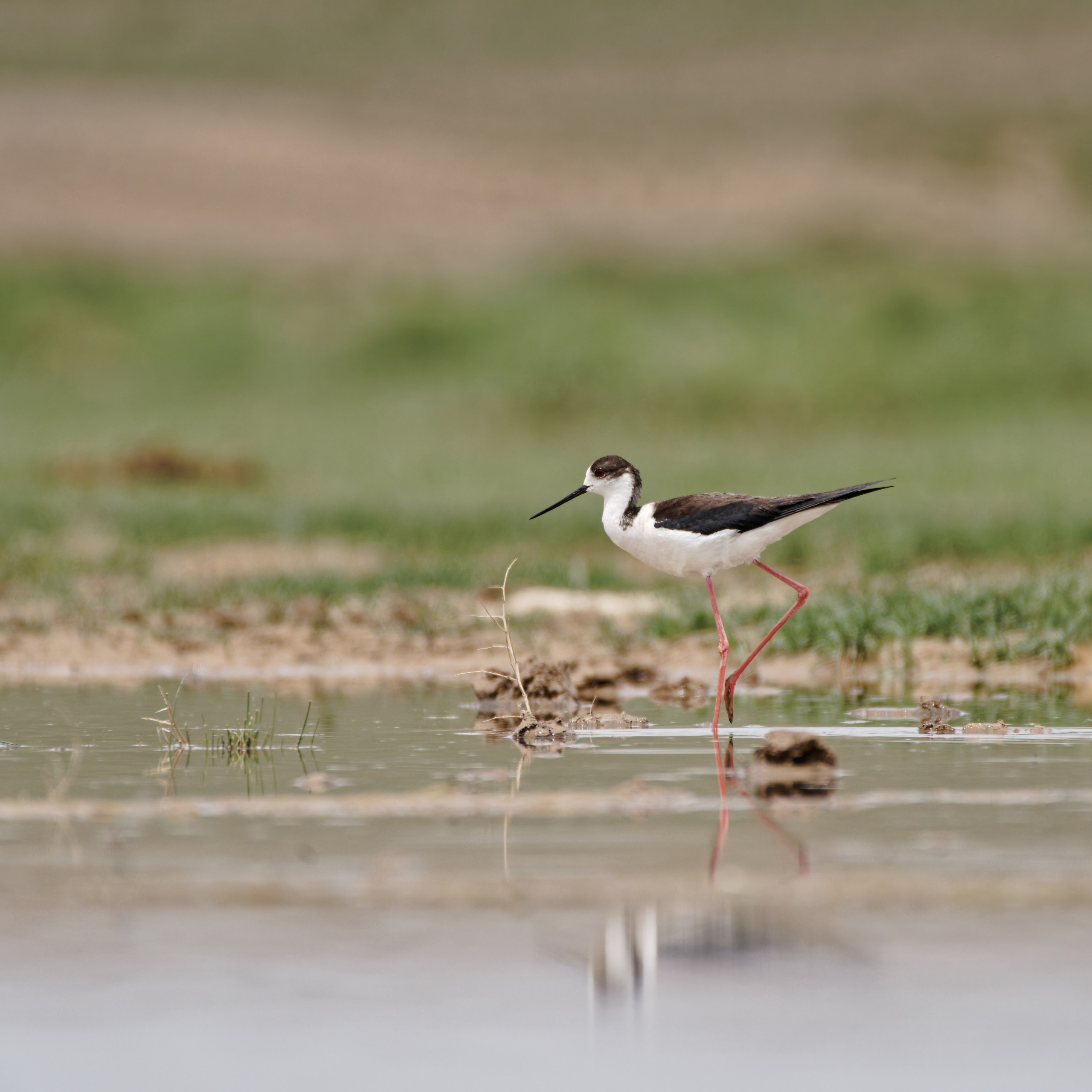 Экспедиция в Монголию (Гоби). Семоха Валерий. Фотограф