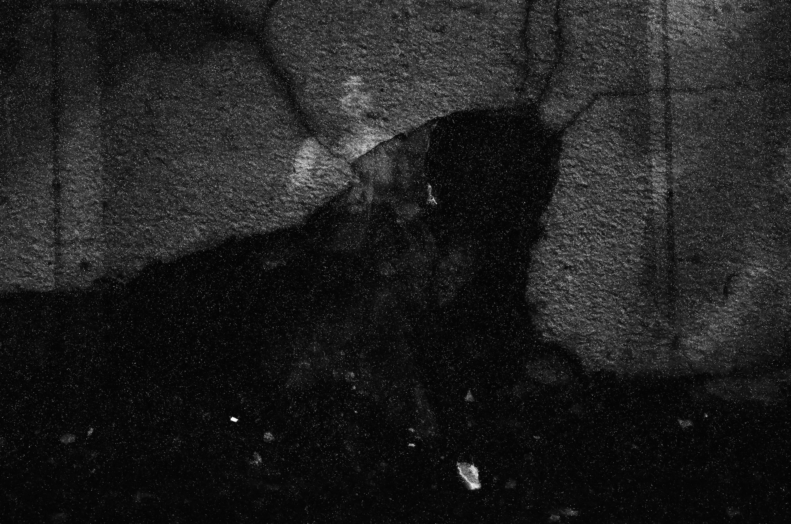 Из наблюдений. Плак или Квак