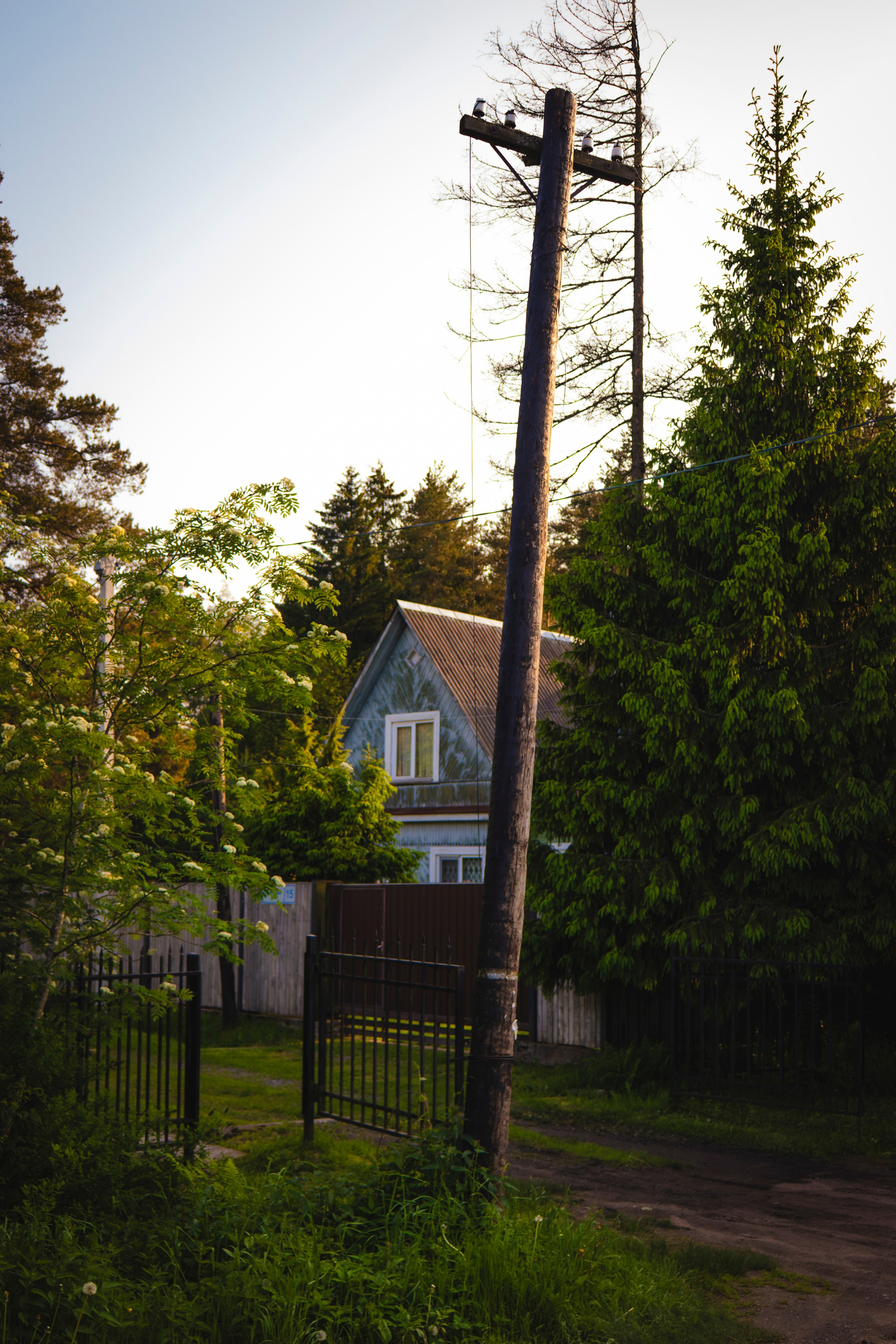 Из наблюдений. Плак или Квак