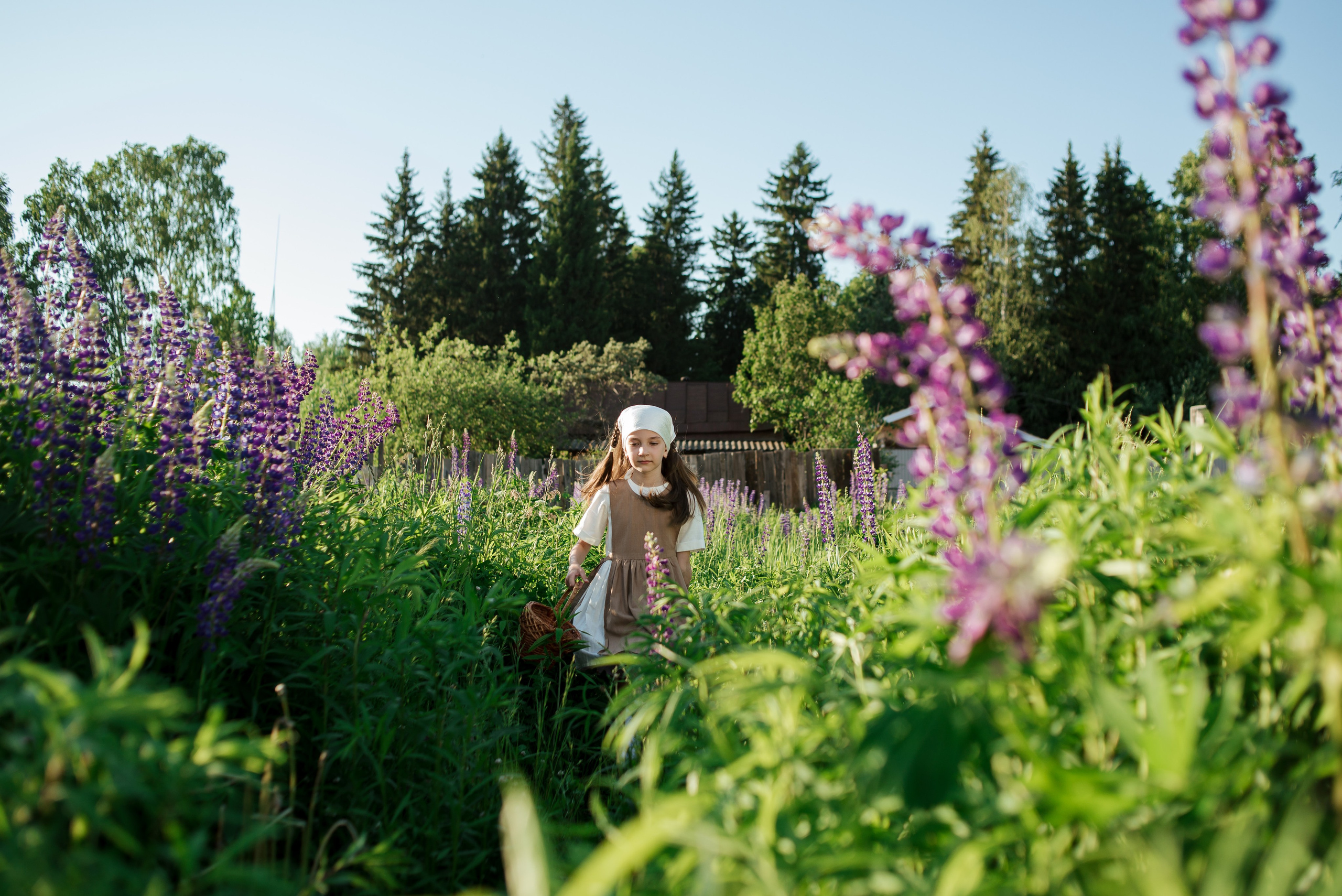 Анонс «Люпиновое поле в городе». Фотограф Екатерина Шереметова Ижевск Сарапул Воткинск