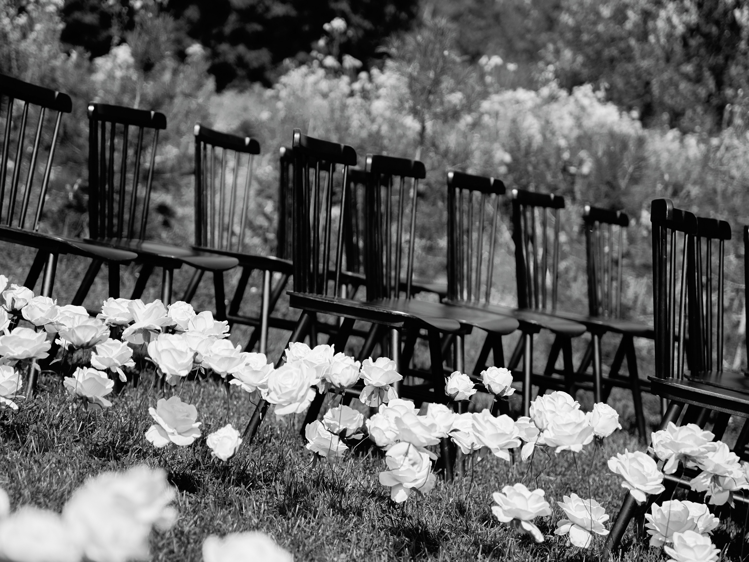 СЕГОДНЯ ТОЛЬКО ПО ЛЮБВИ. Свадебный фотограф Анна Чащухина