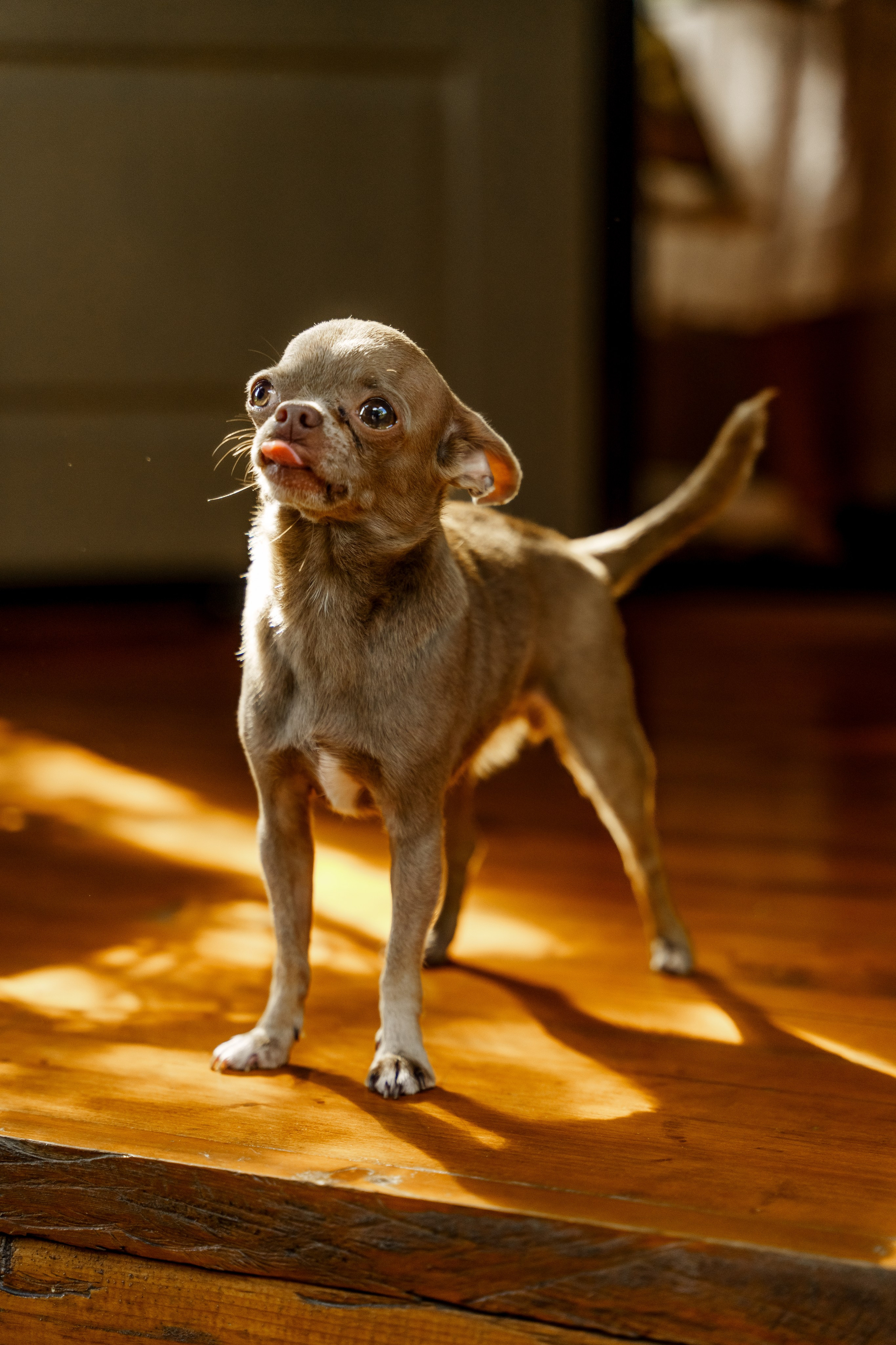 Ева 1 год. Станислав Тюрин Фотограф Москва. Индивидуальные и семейные фотосессии;