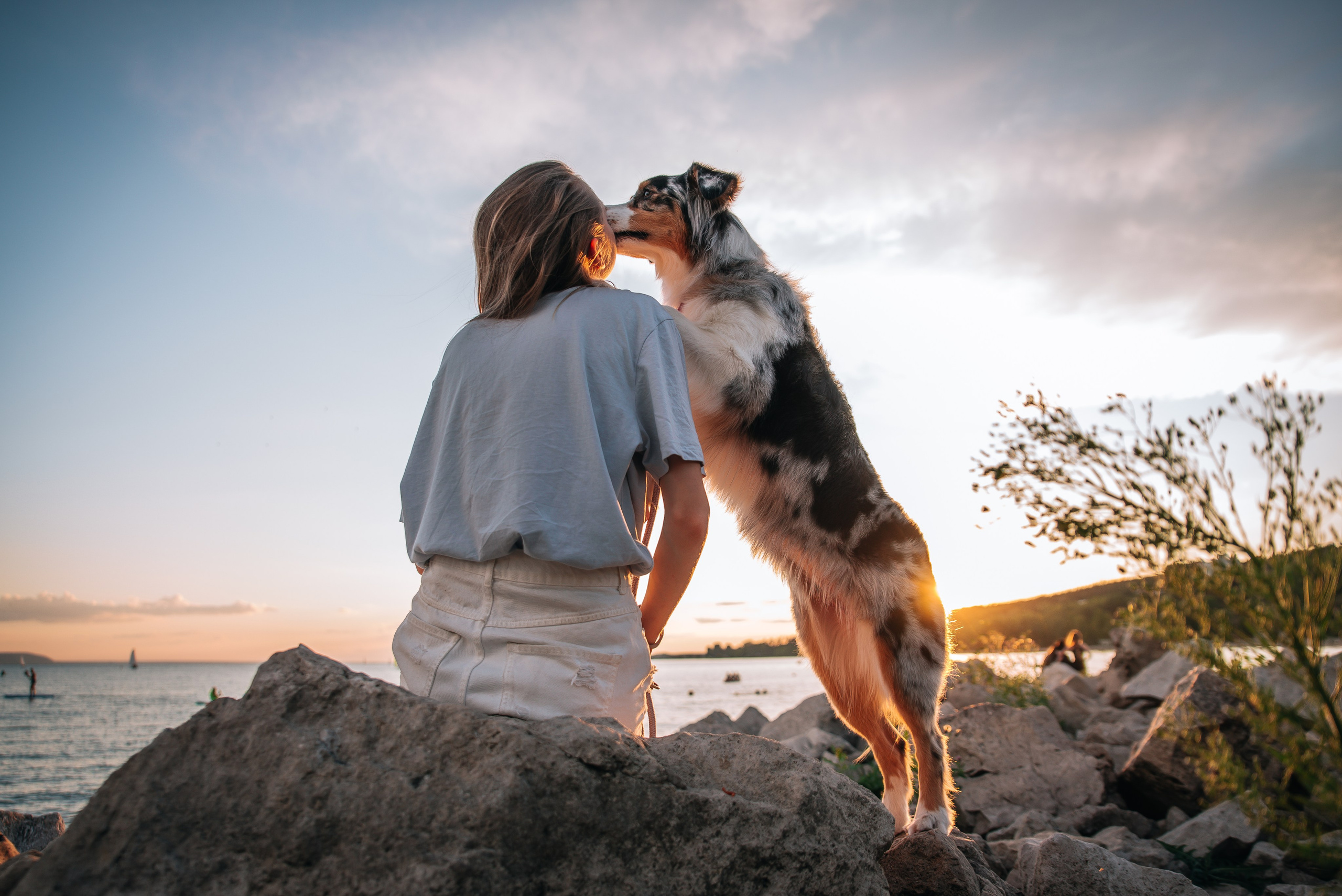 No Bad Days. Главная