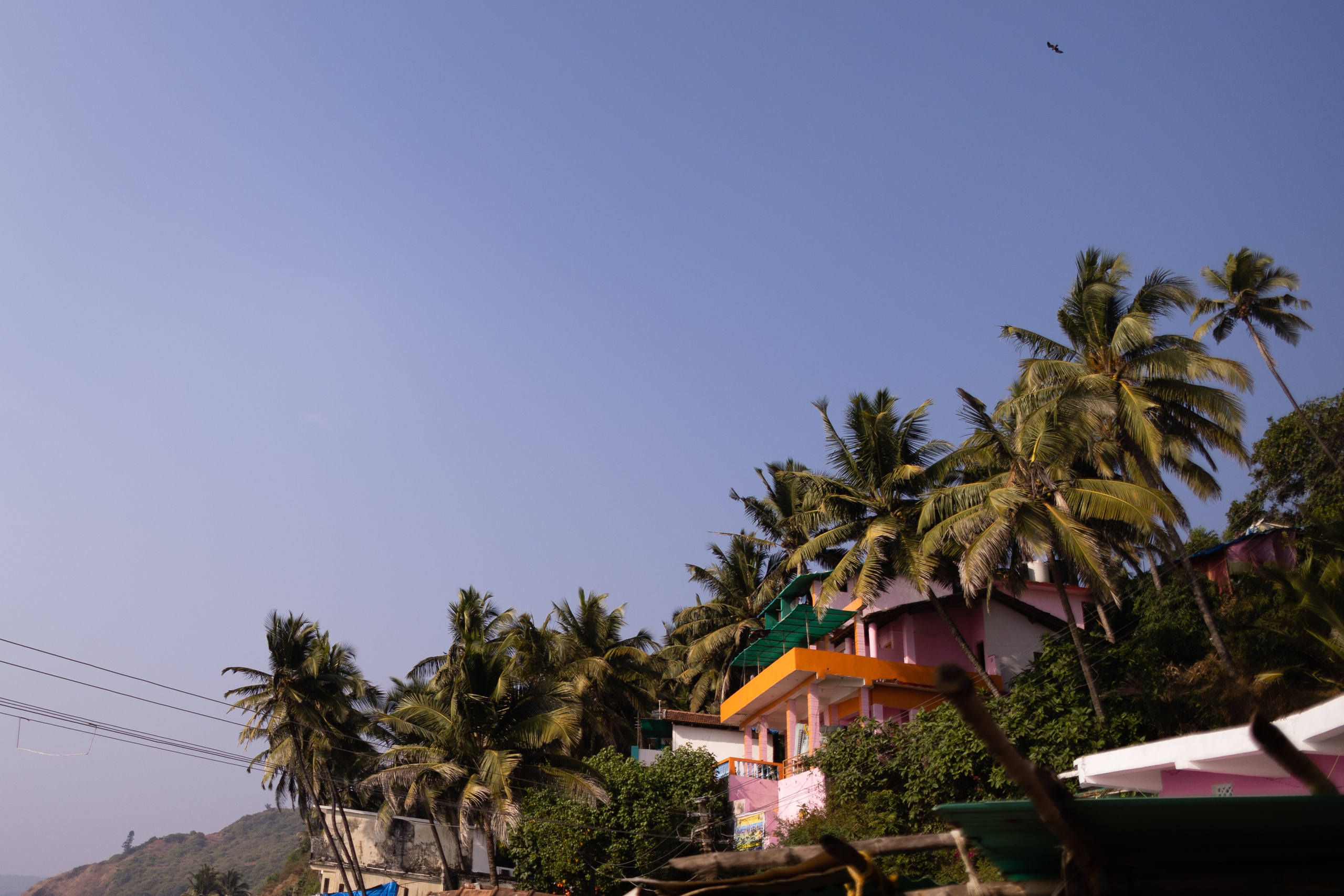 ГОА 2024. Руслан Плахтеев