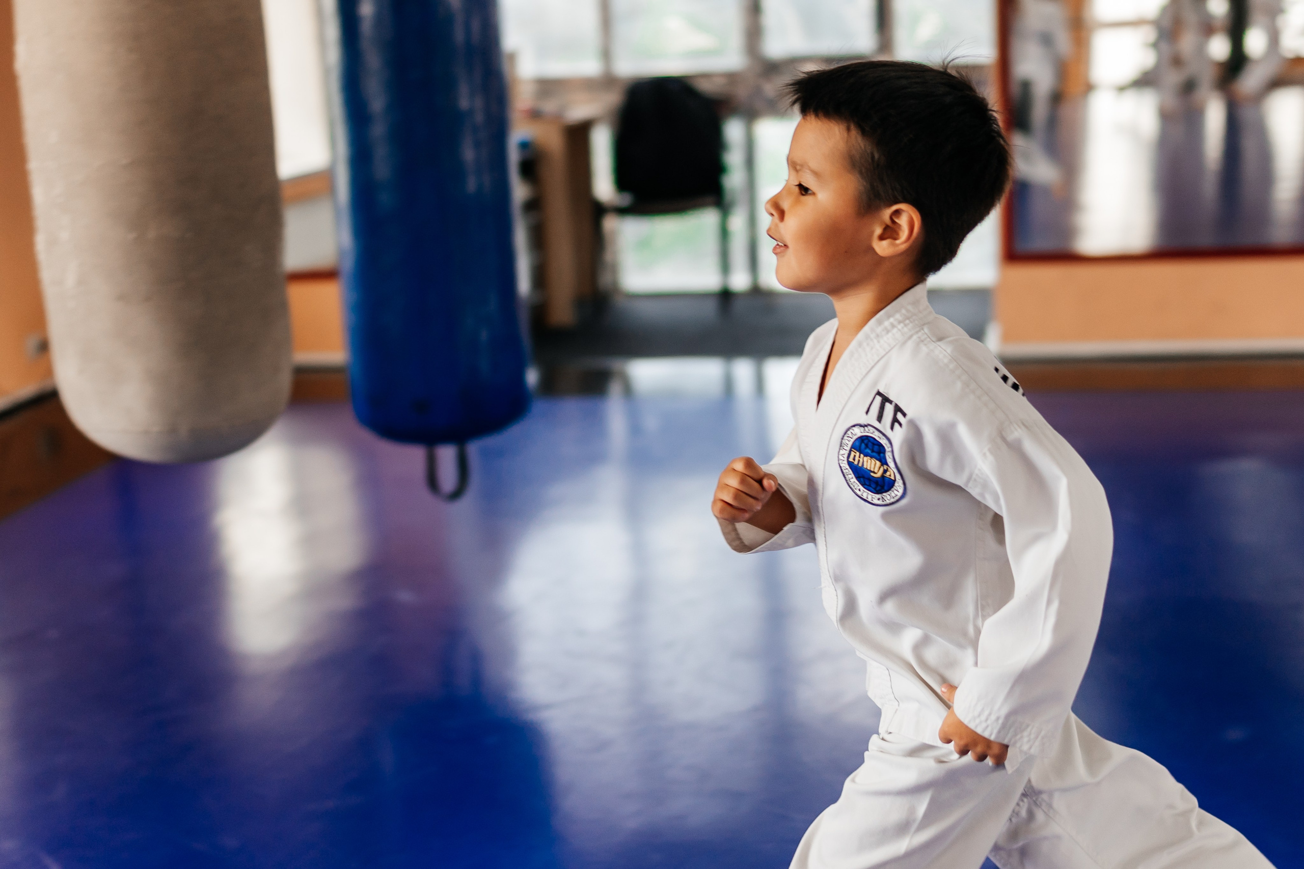 Съемка спортивных мероприятий. Taekwondo/2023. Семейный фотограф в Москве Ирина Жур