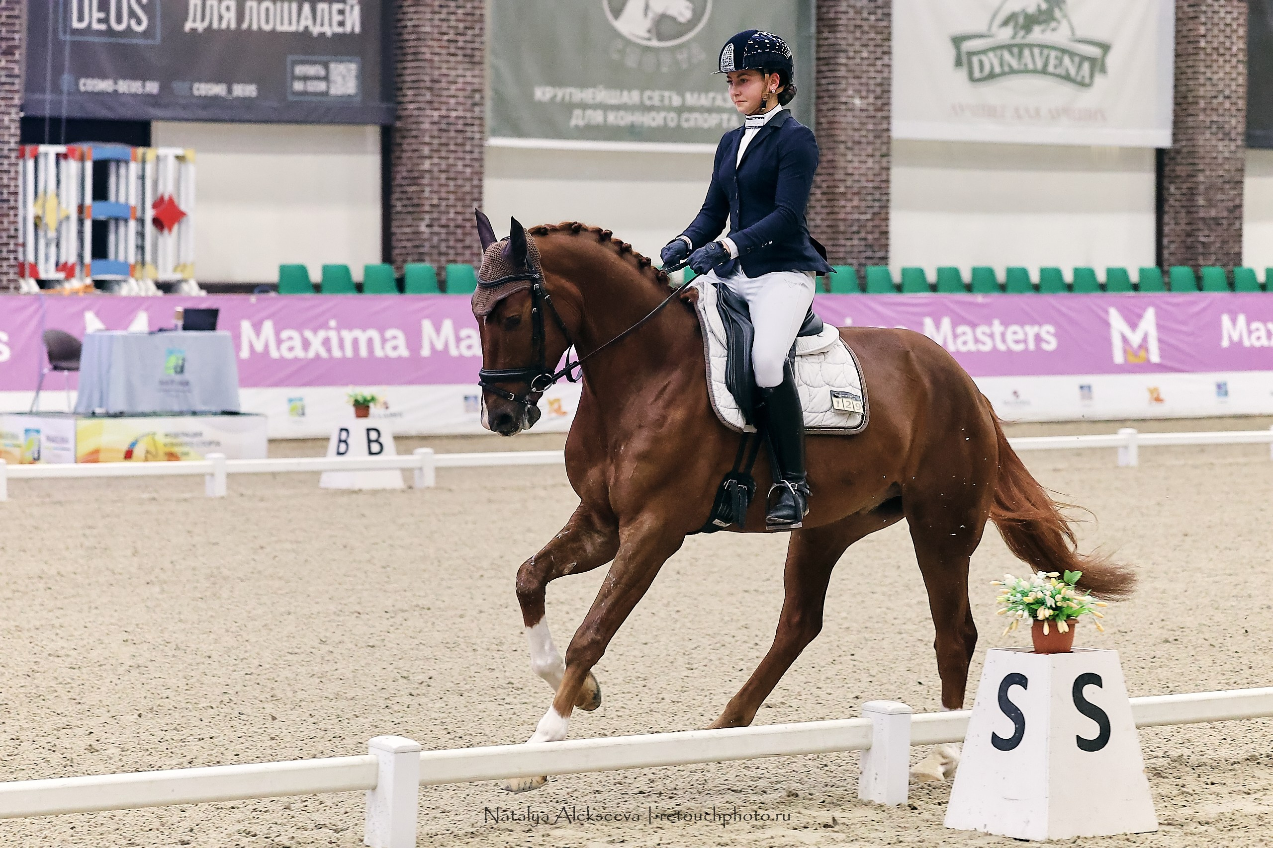 Maxima Masters Eurasia по выездке, Maxima Stables | 12'2023. Репортажный фотограф и ретушер в Москве Наталья Алексеева