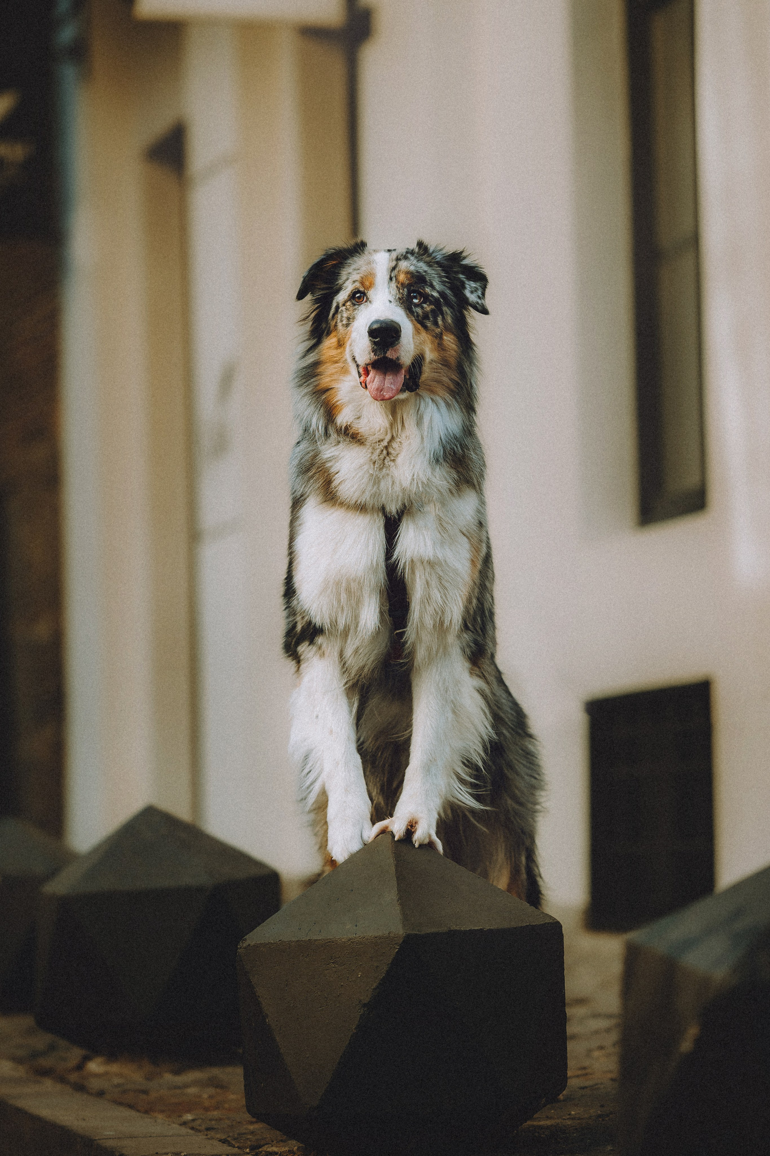 Саша, Рома и Один