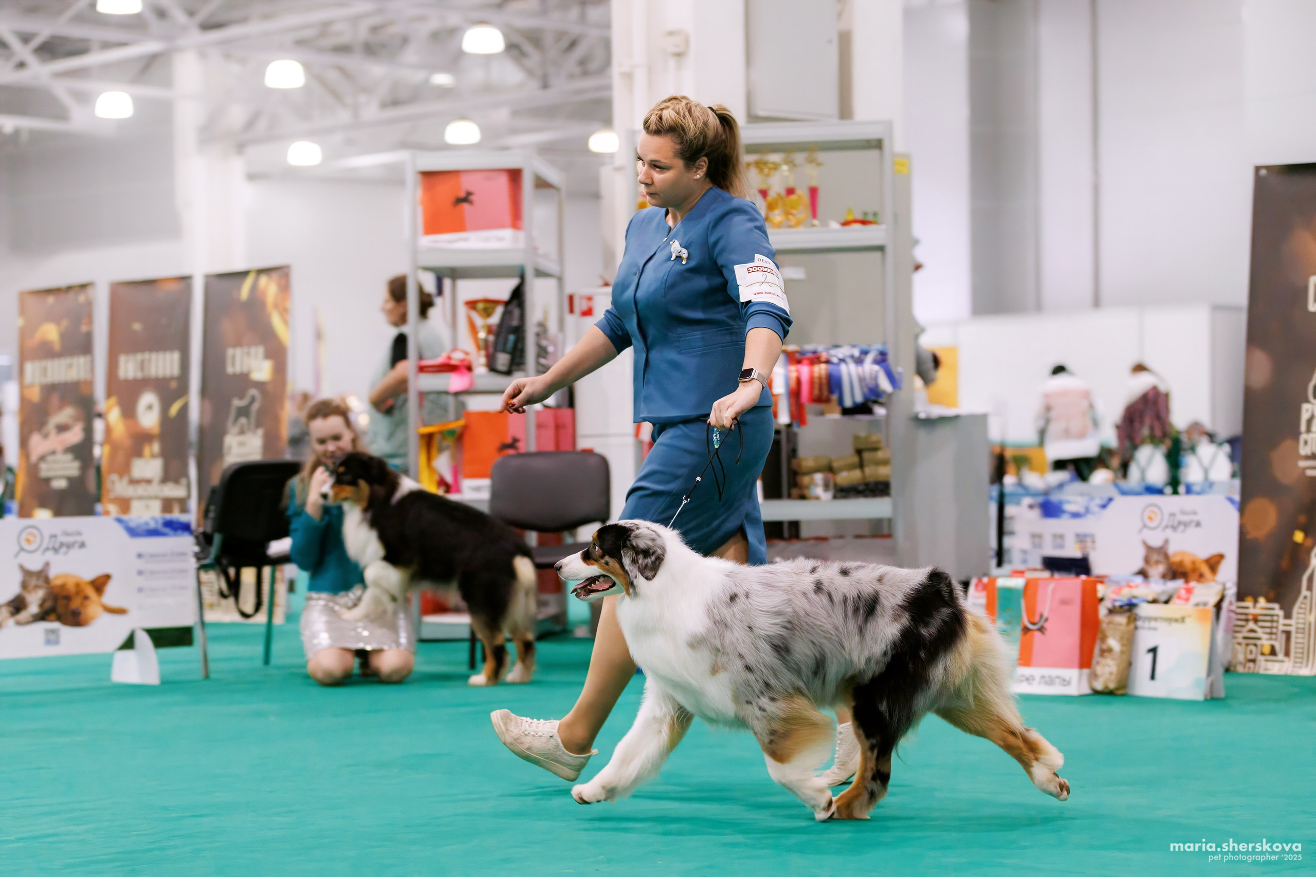 Выставки. Фотограф-анималист в Калуге Мария Шерскова