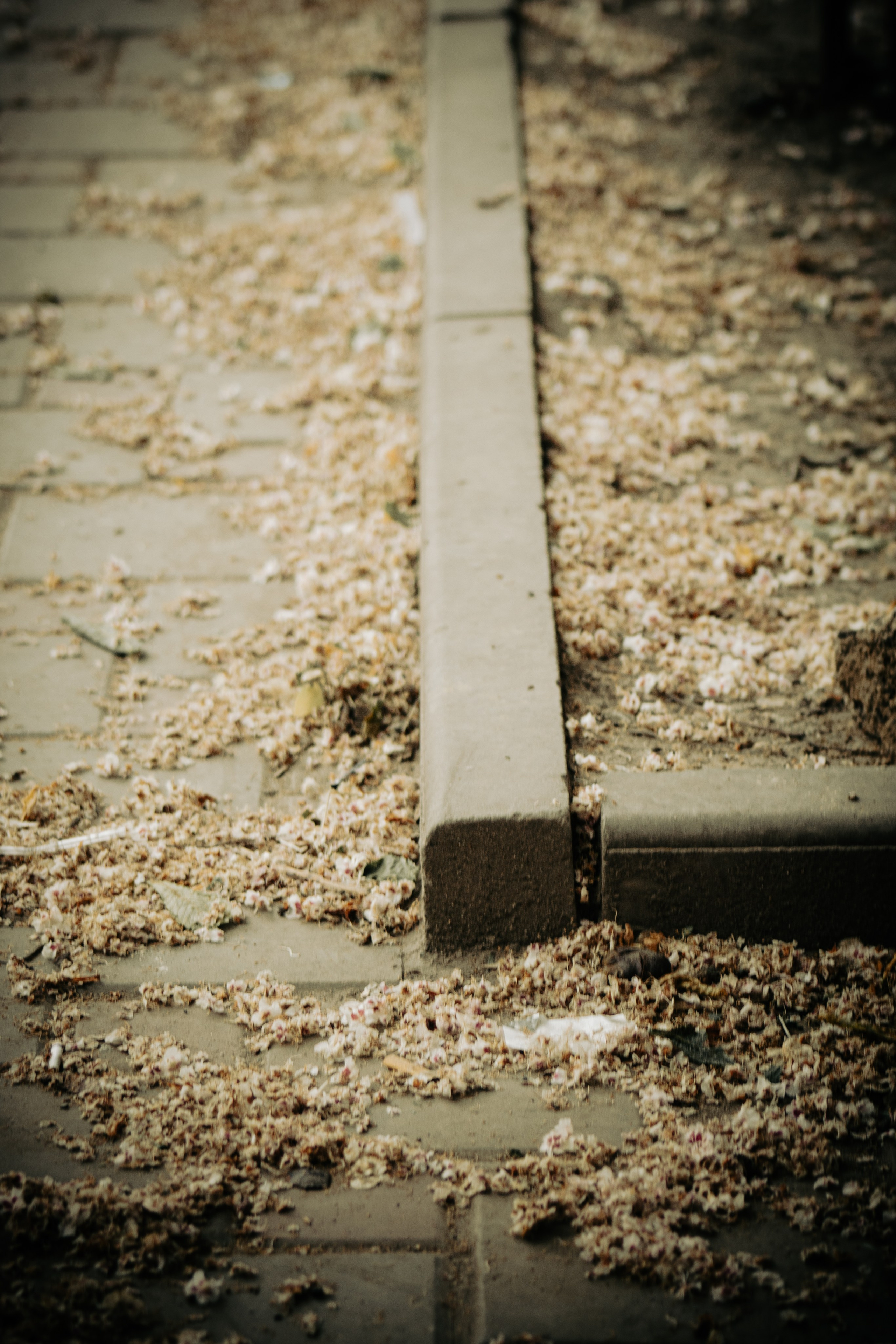 Даниил. Илья Чемис — Фотограф в Мариуполе