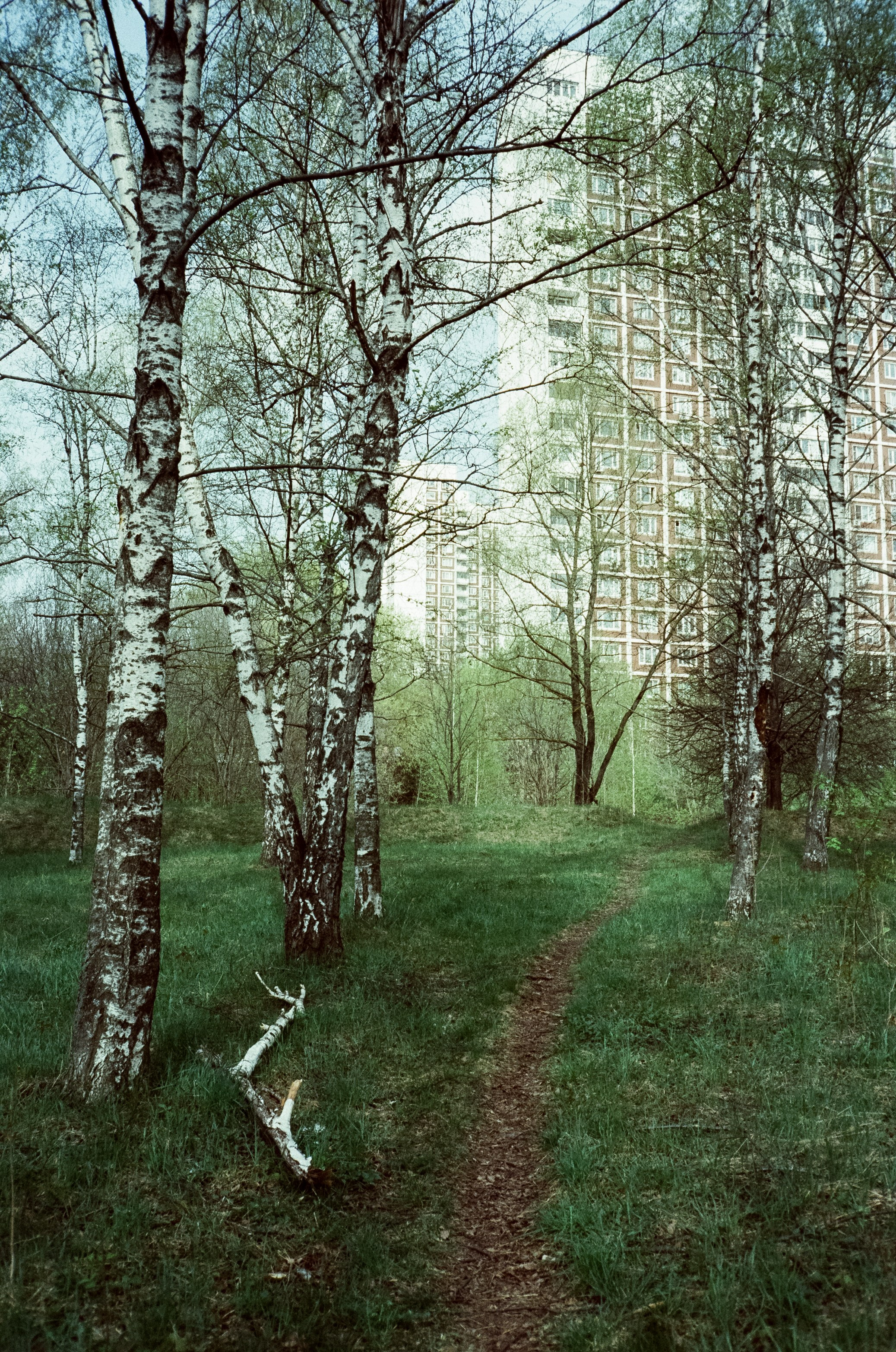 Ricoh 500GS / SFL 200T / Строгино тестовая пленка апрель 2024 г