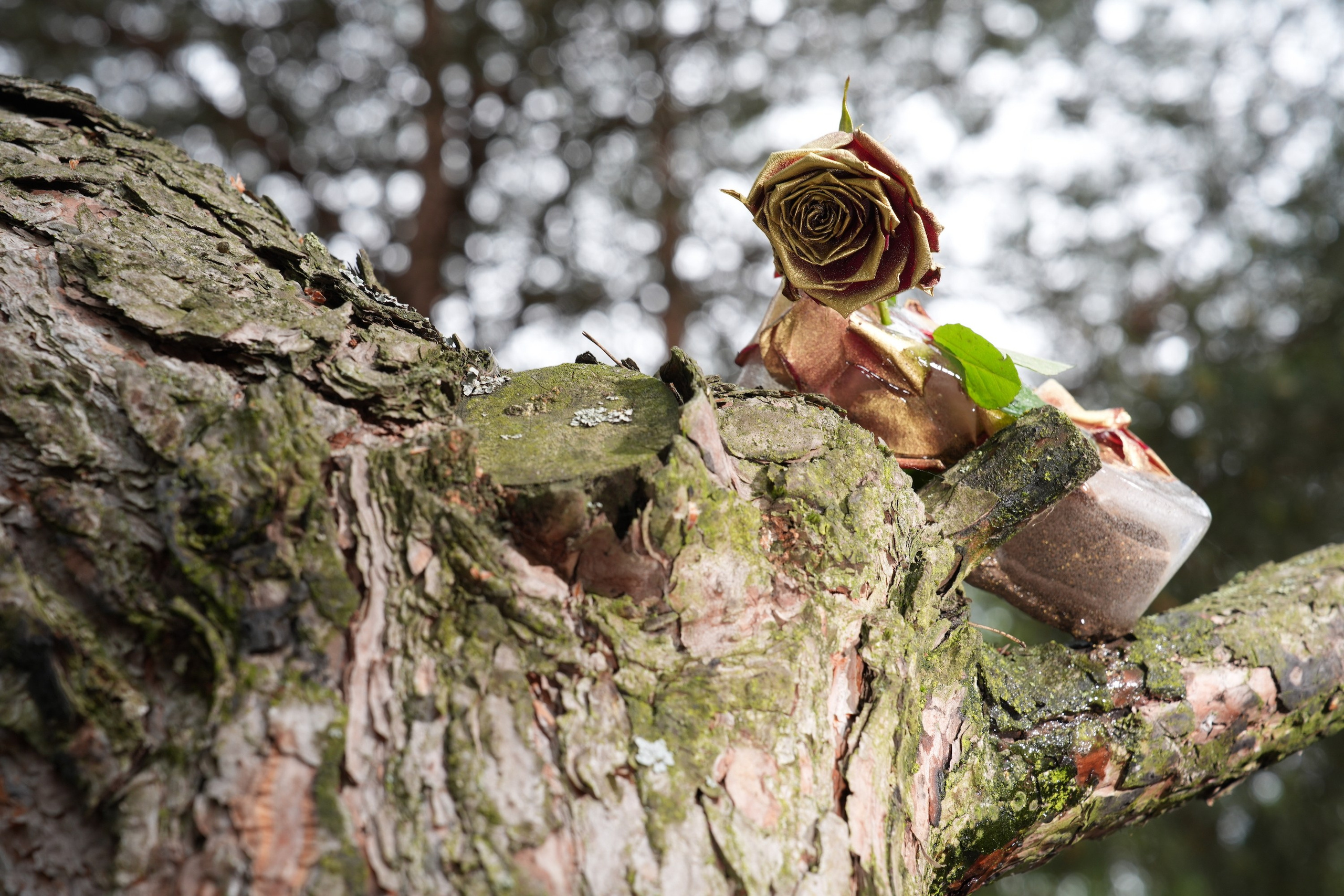 Фотограф Максим Бут, изобразительное искусство. Принт в продаже. Fine Art. 