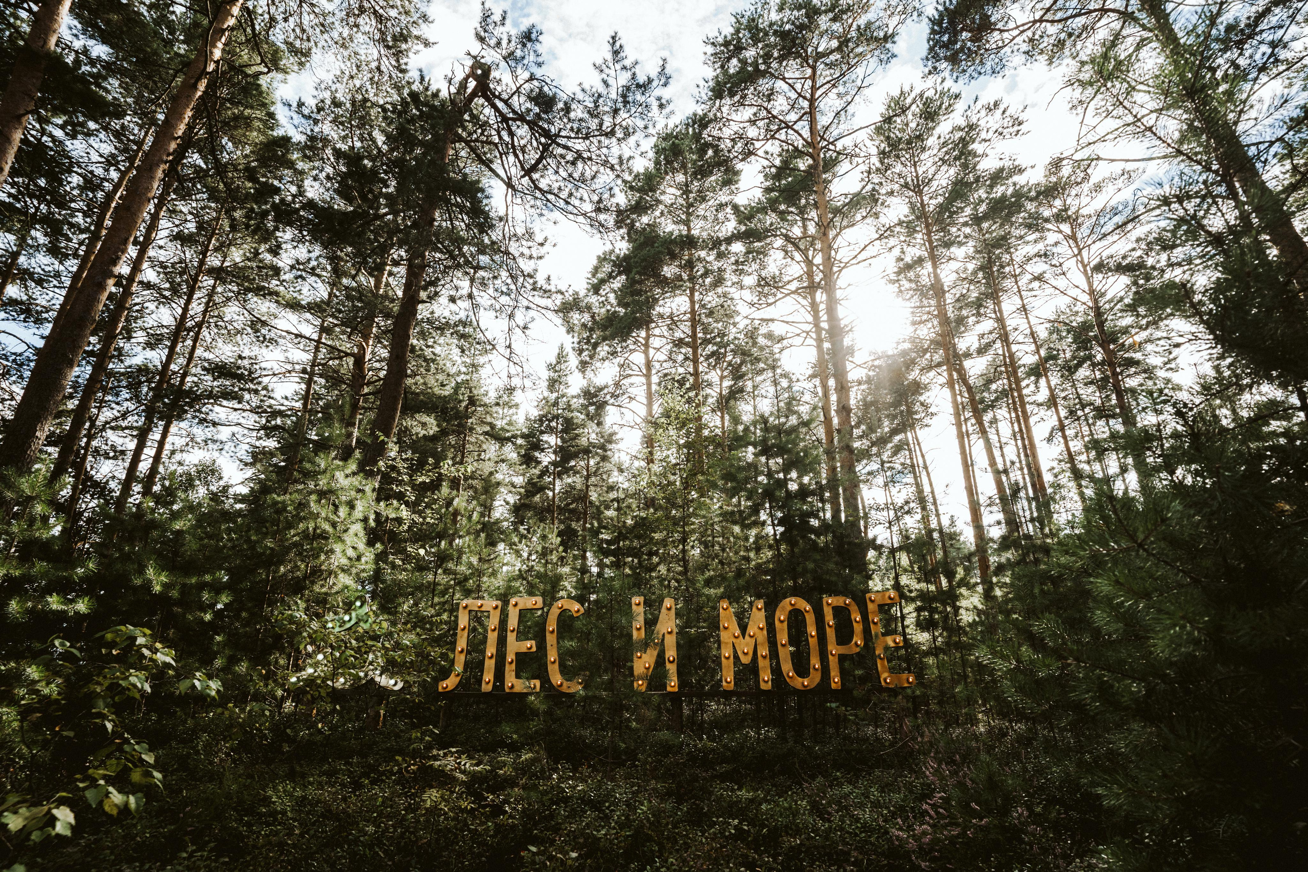 Les & More. Wedding & Documentary Photographer based in Nuremberg — available across Europe & Turkey | Vitalii Nasonov