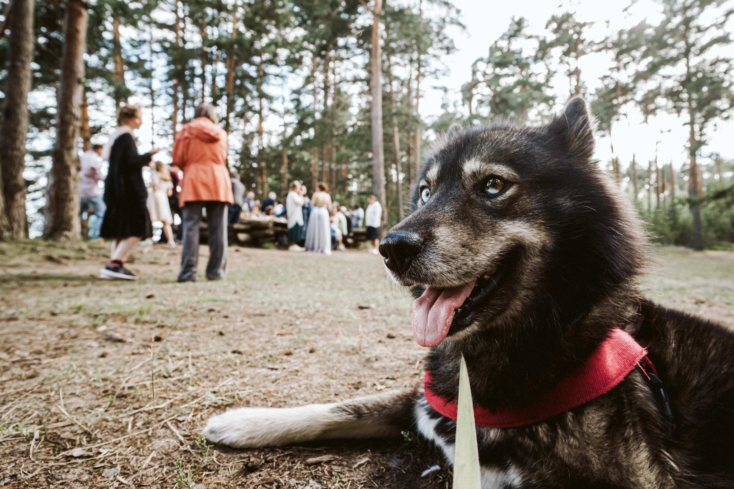 Les & More. Wedding & Documentary Photographer based in Nuremberg — available across Europe & Turkey | Vitalii Nasonov