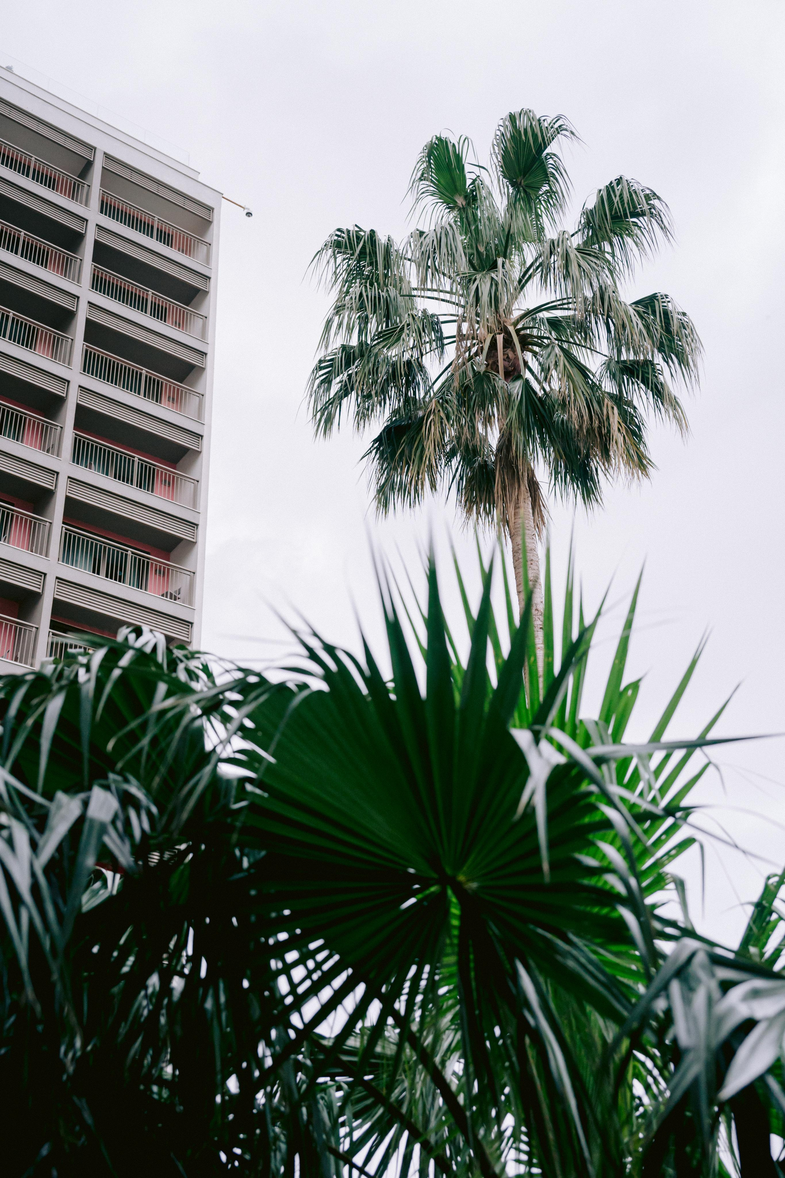 Noda corporate party in Antalya. Wedding & Documentary Photographer based in Nuremberg — available across Europe & Turkey | Vitalii Nasonov