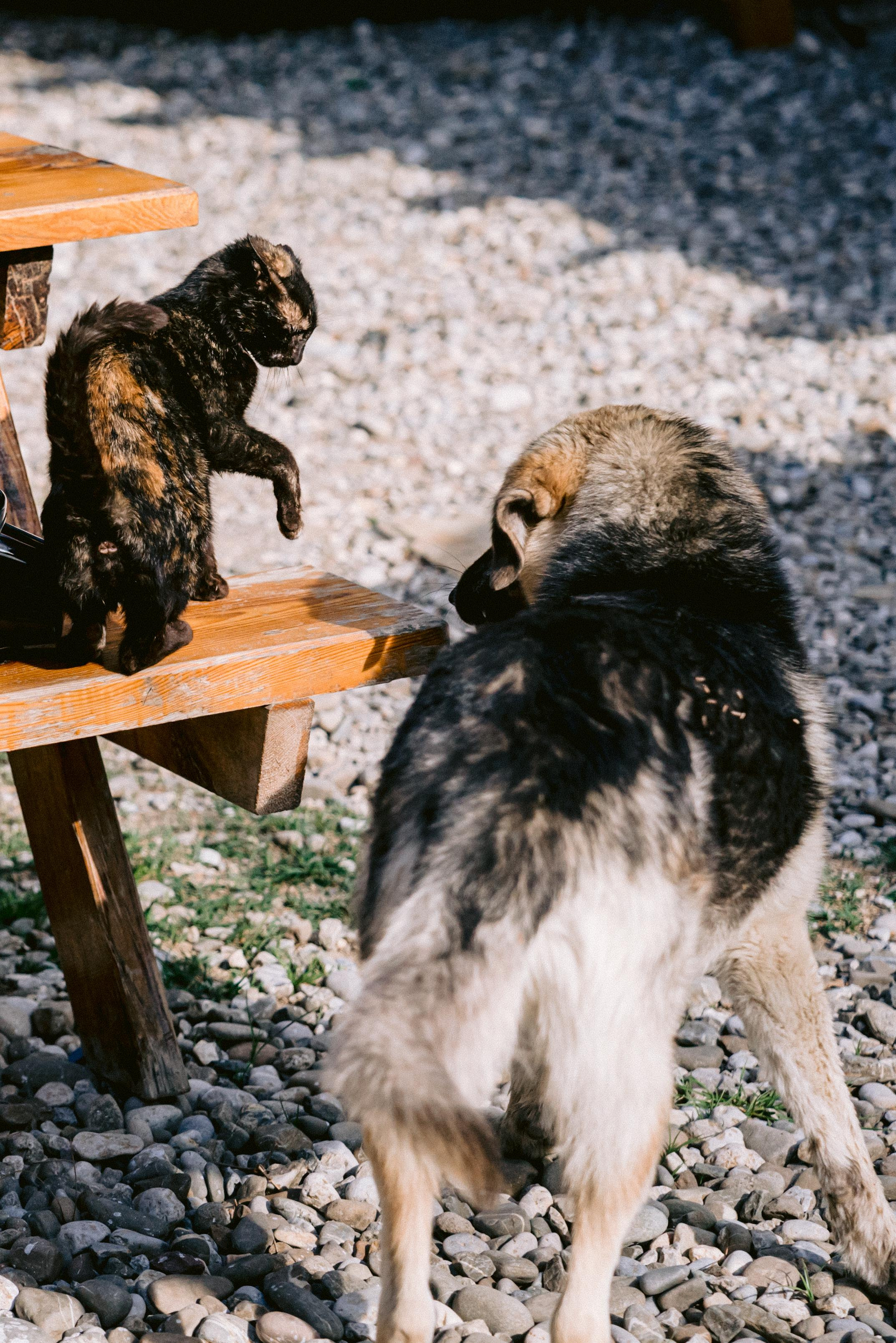 Noda corporate party in Antalya. Wedding & Documentary Photographer based in Nuremberg — available across Europe & Turkey | Vitalii Nasonov