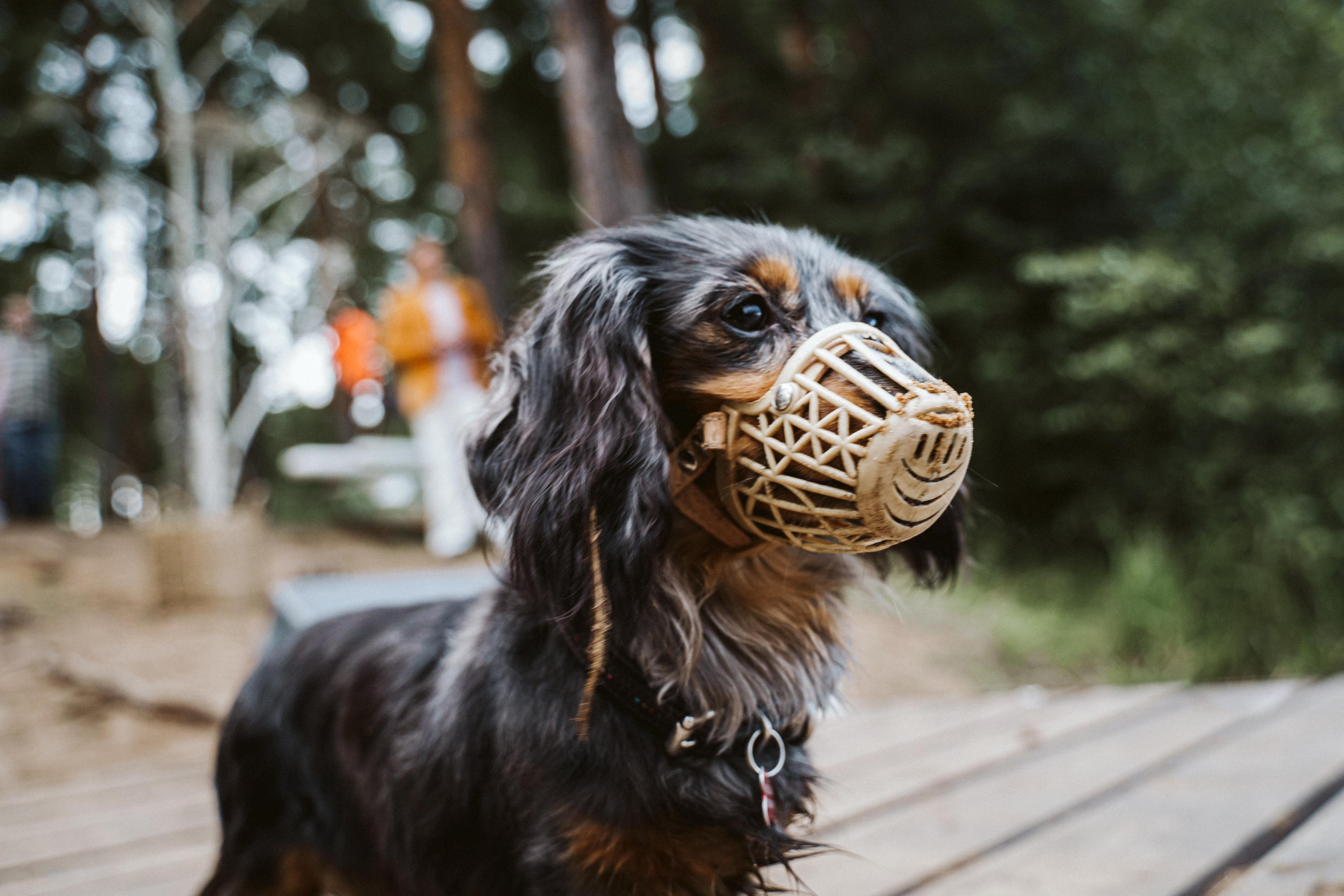 Les & More. Wedding & Documentary Photographer based in Nuremberg — available across Europe & Turkey | Vitalii Nasonov