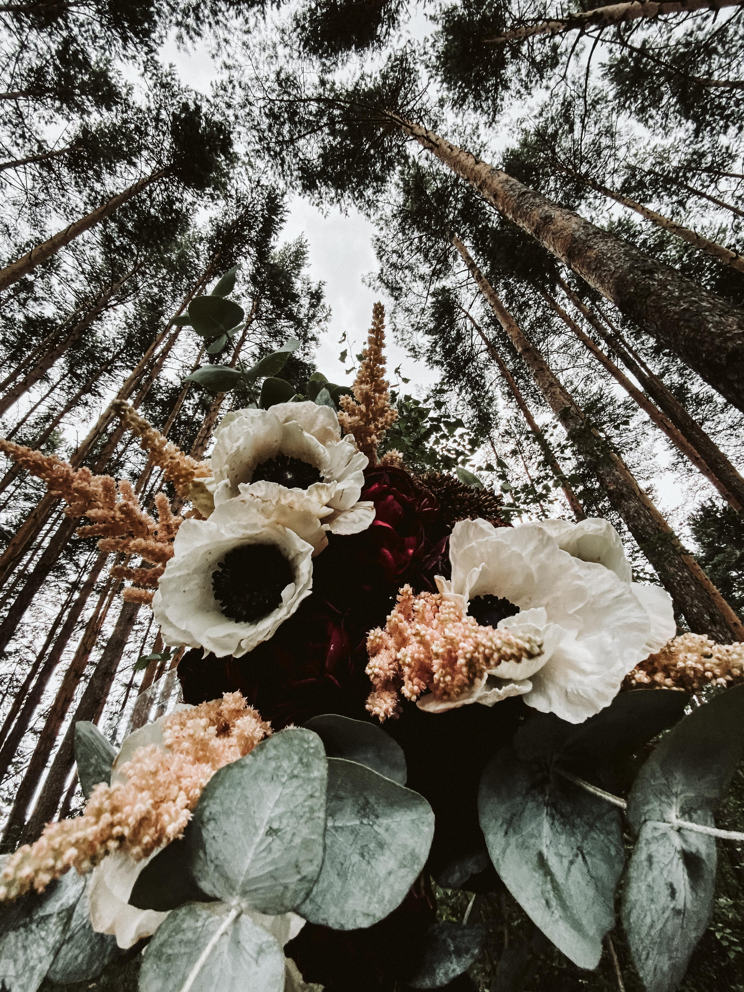 Les & More. Wedding & Documentary Photographer based in Nuremberg — available across Europe & Turkey | Vitalii Nasonov