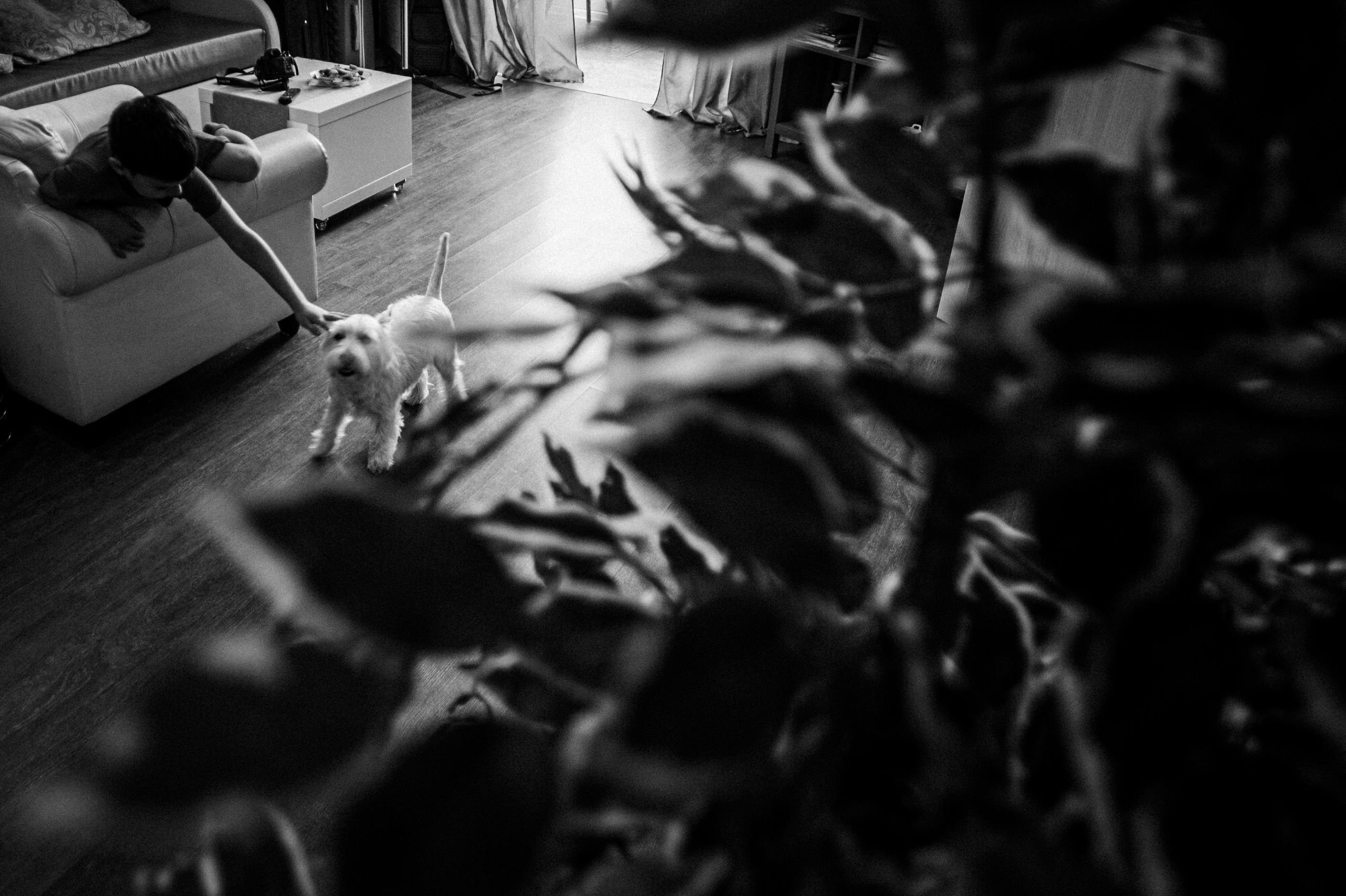 Dizzy. Wedding & Documentary Photographer based in Nuremberg — available across Europe & Turkey | Vitalii Nasonov