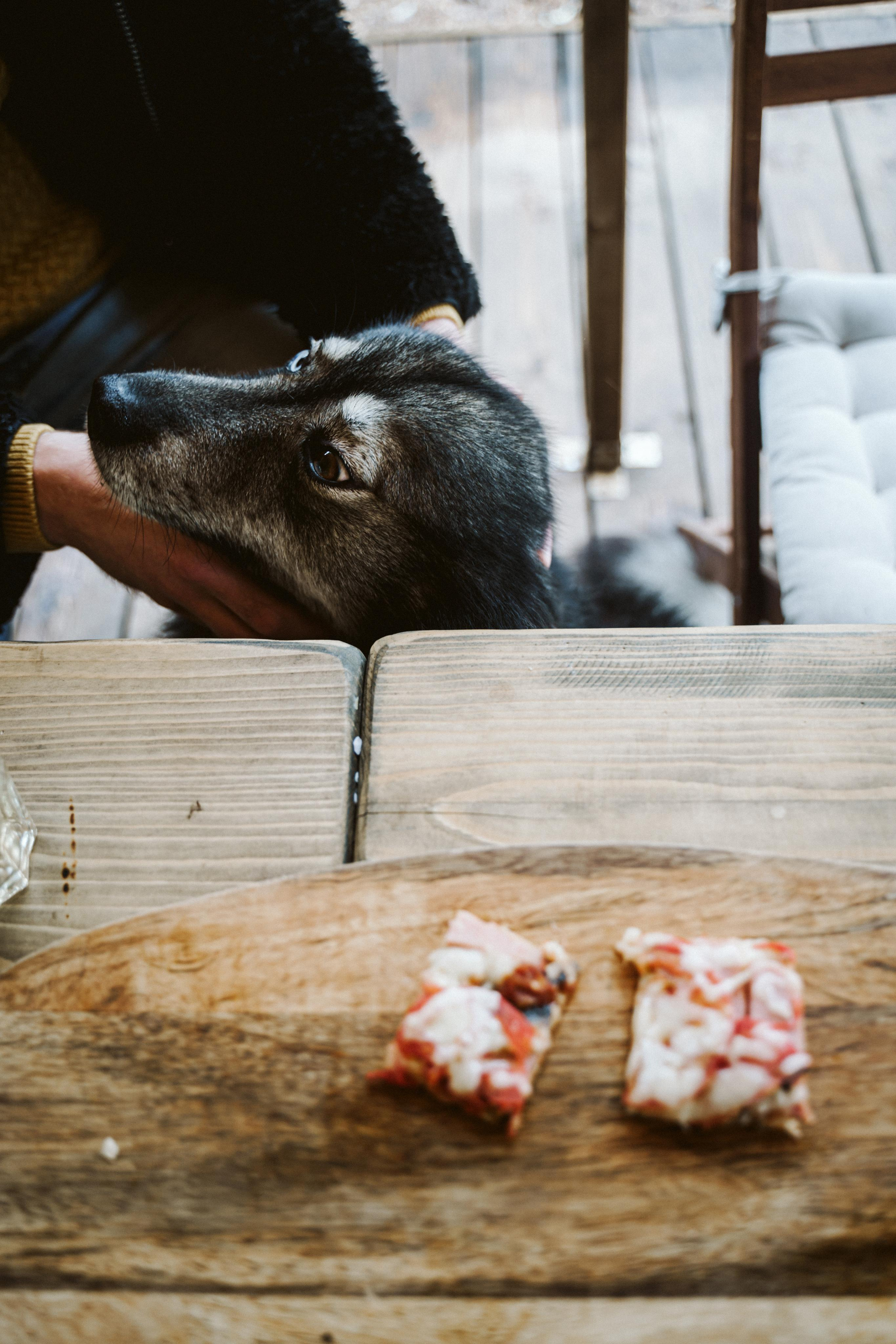 Les & More. Wedding & Documentary Photographer based in Nuremberg — available across Europe & Turkey | Vitalii Nasonov