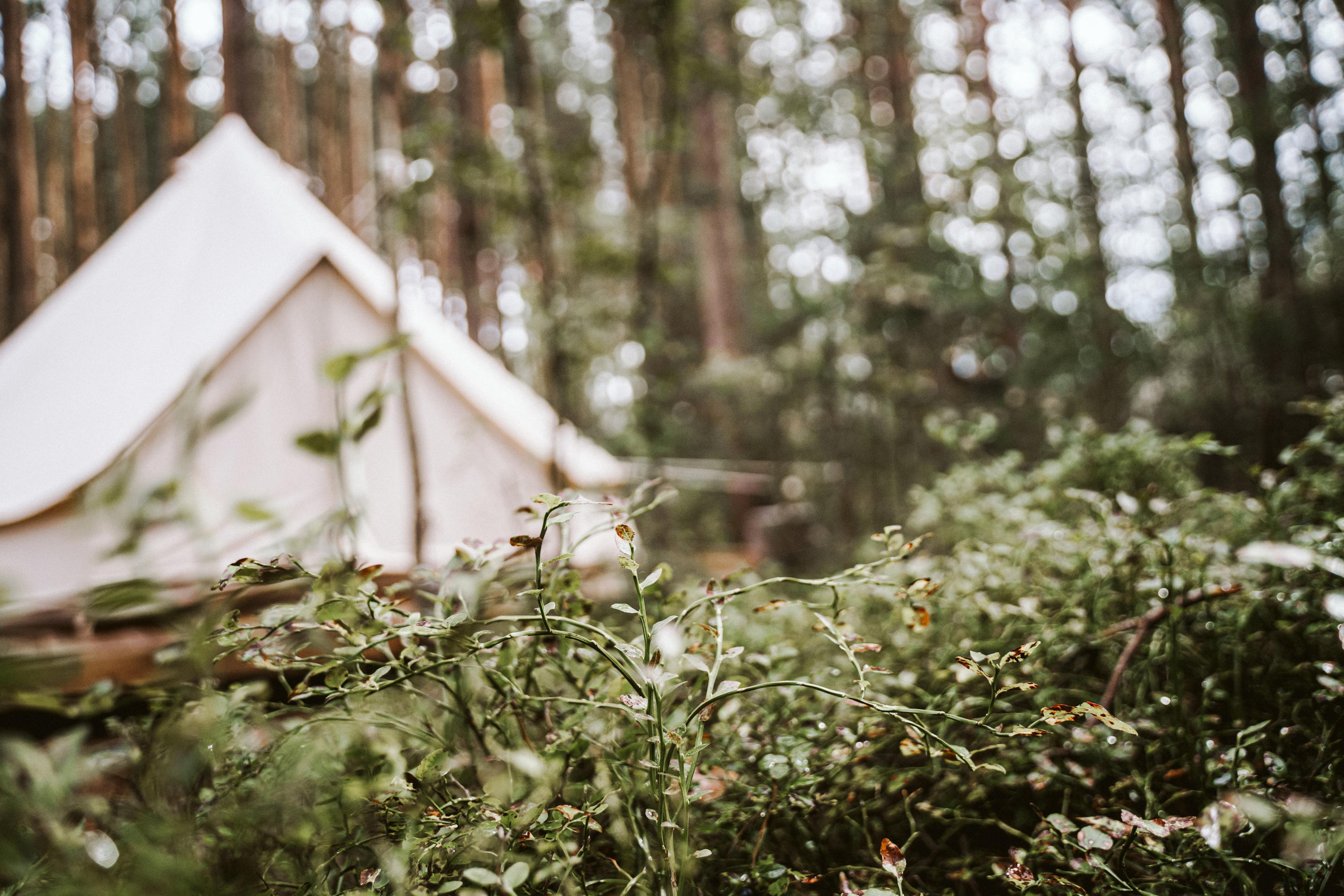 Les & More. Wedding & Documentary Photographer based in Nuremberg — available across Europe & Turkey | Vitalii Nasonov