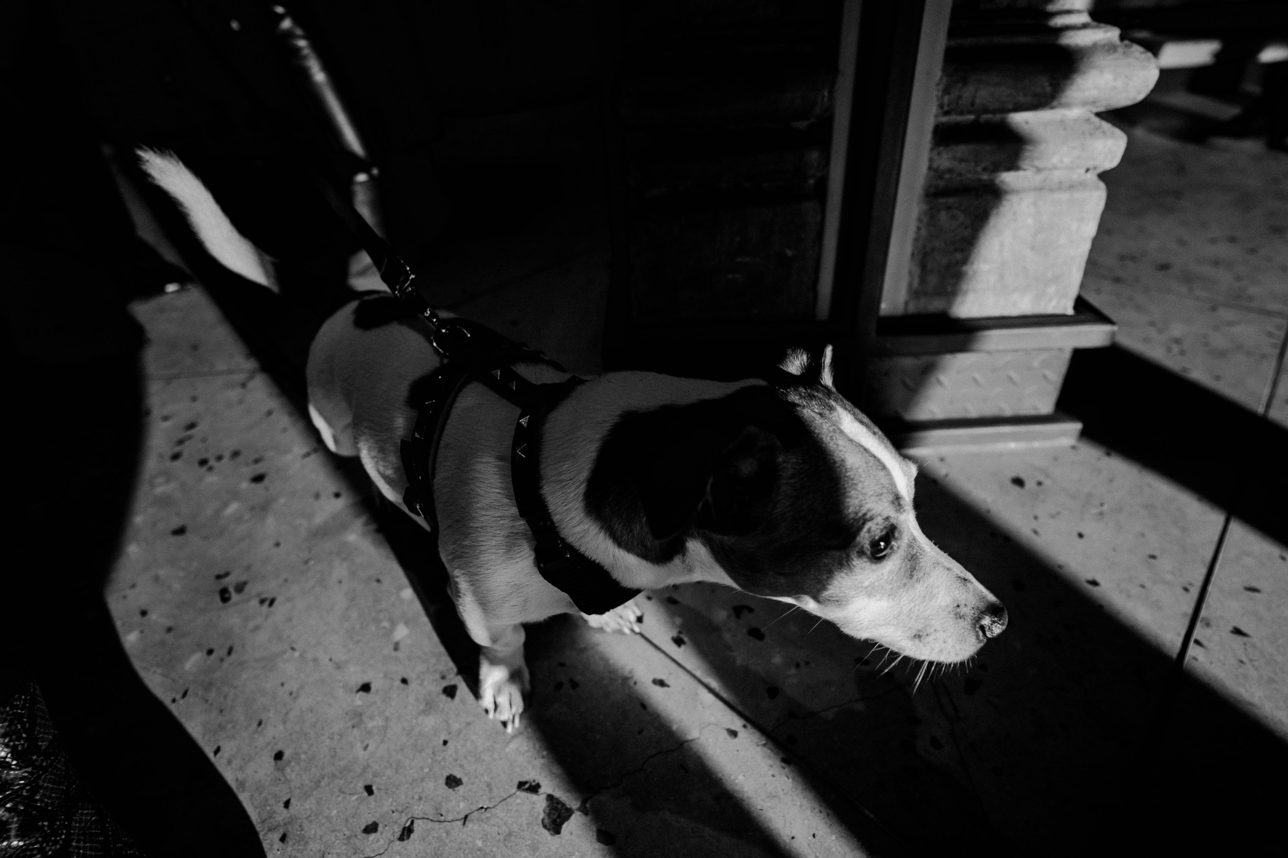 SIGMA B-DAY. Wedding & Documentary Photographer based in Nuremberg — available across Europe & Turkey | Vitalii Nasonov