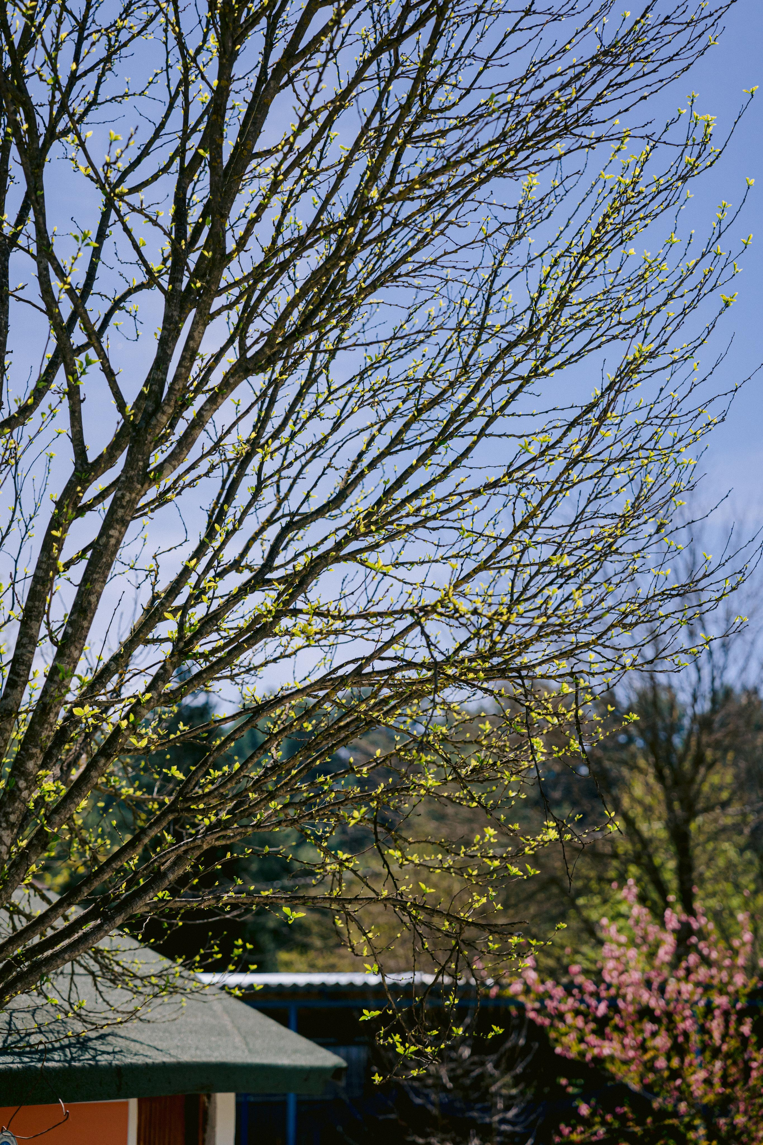 Noda corporate party in Antalya. Wedding & Documentary Photographer based in Nuremberg — available across Europe & Turkey | Vitalii Nasonov