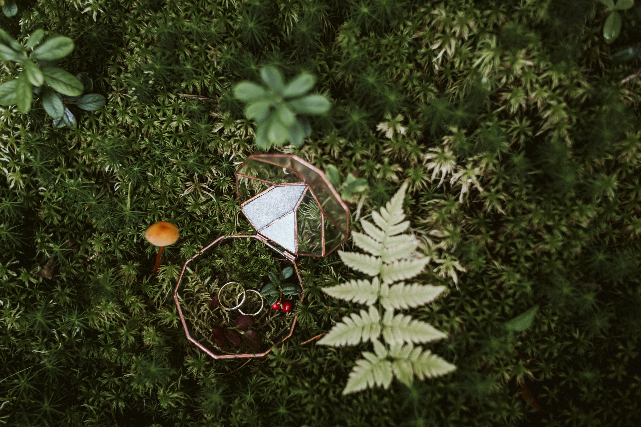 Les & More. Wedding & Documentary Photographer based in Nuremberg — available across Europe & Turkey | Vitalii Nasonov