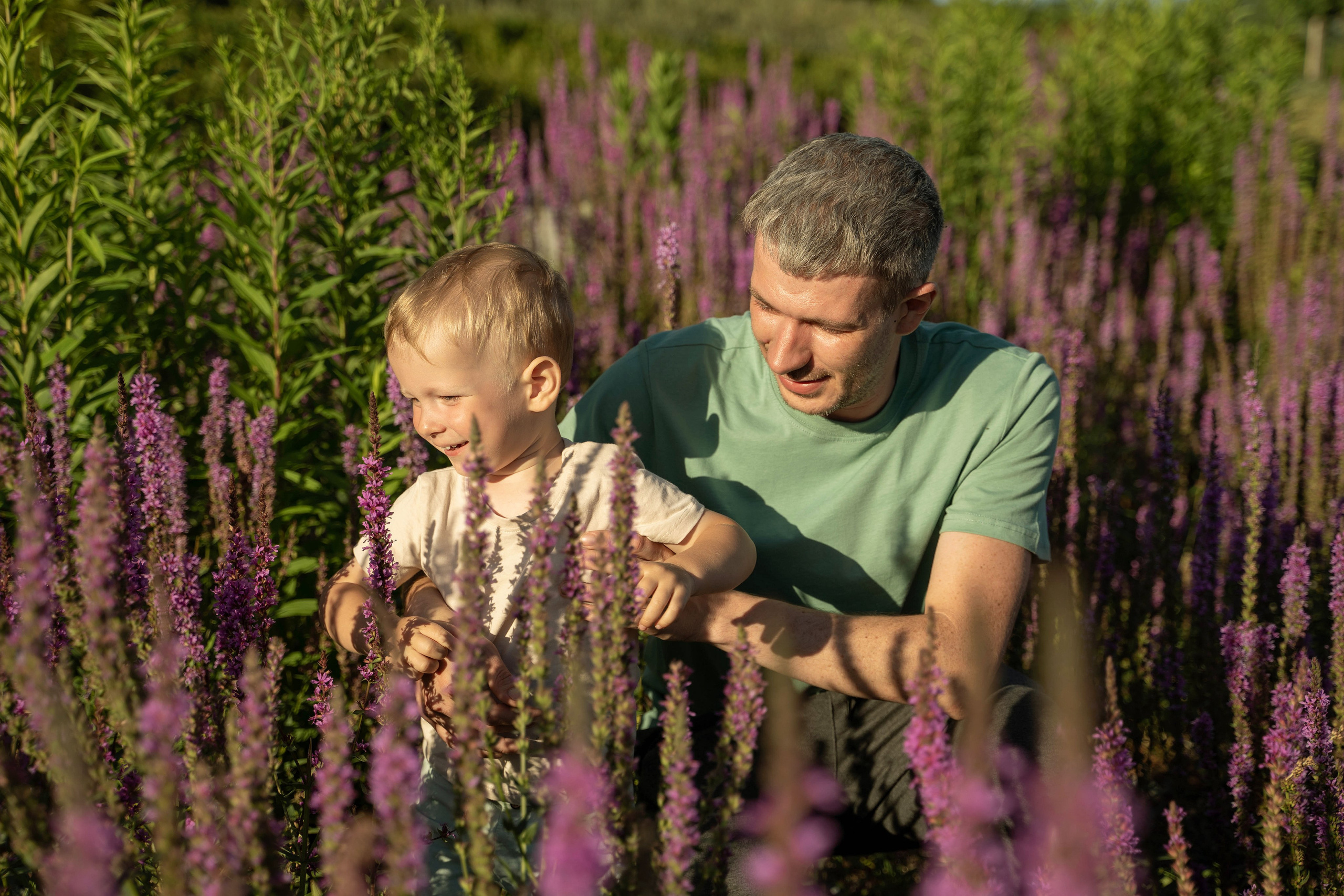 Семейная прогулка. Главная