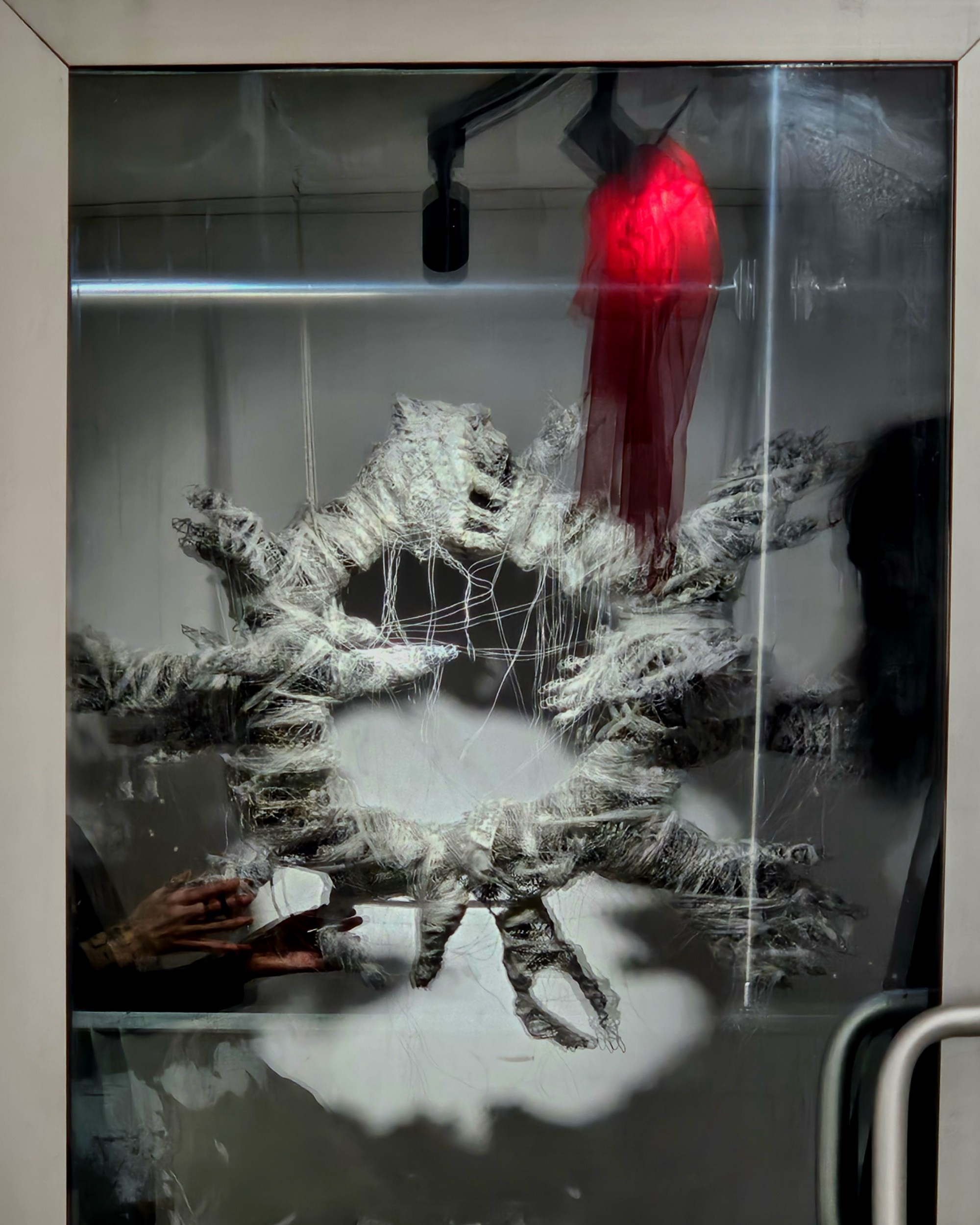 Акт аутофагии. Mmiore