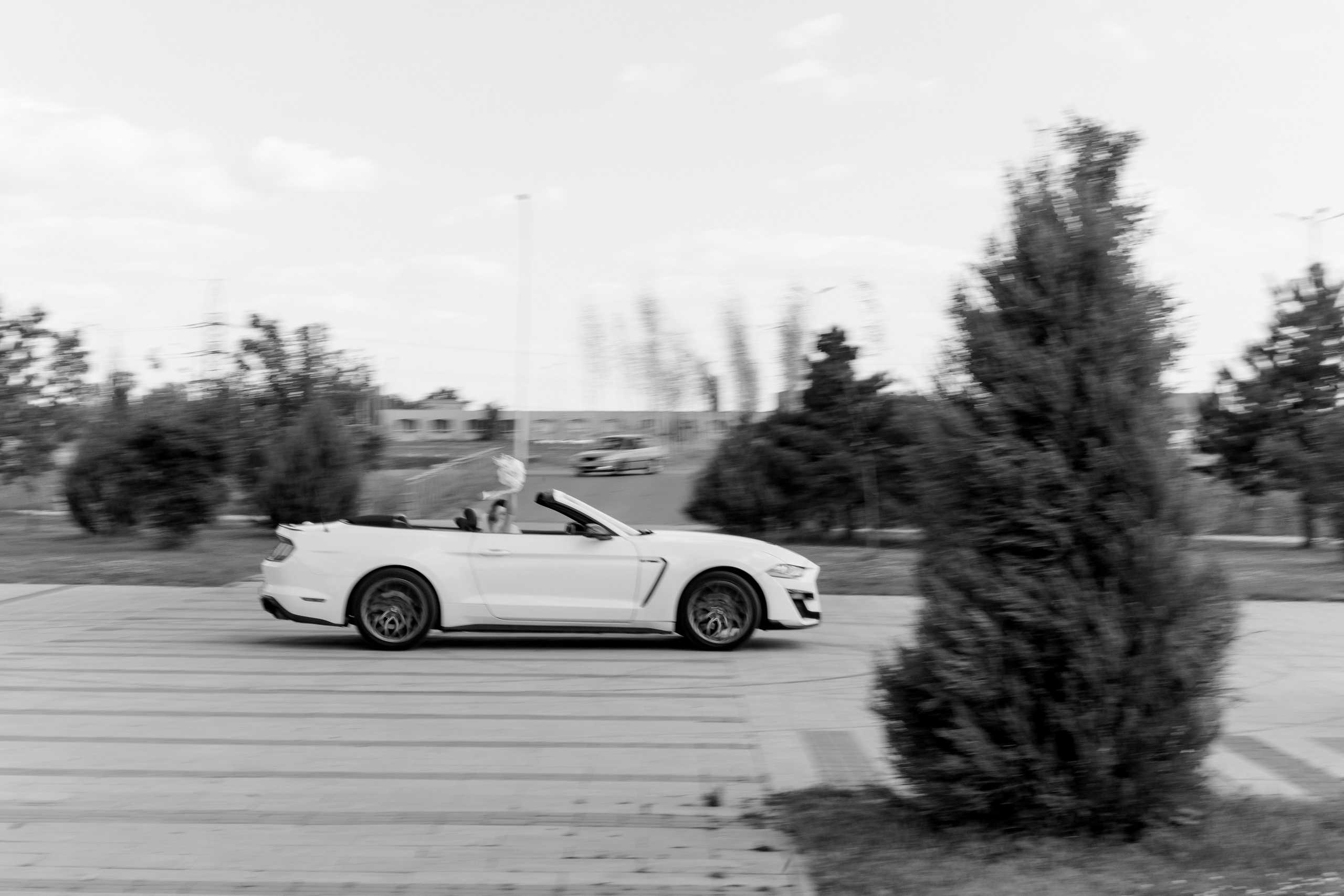 Евгений и Мирослава. Wedding and Reportage photographer Marmarov Christya