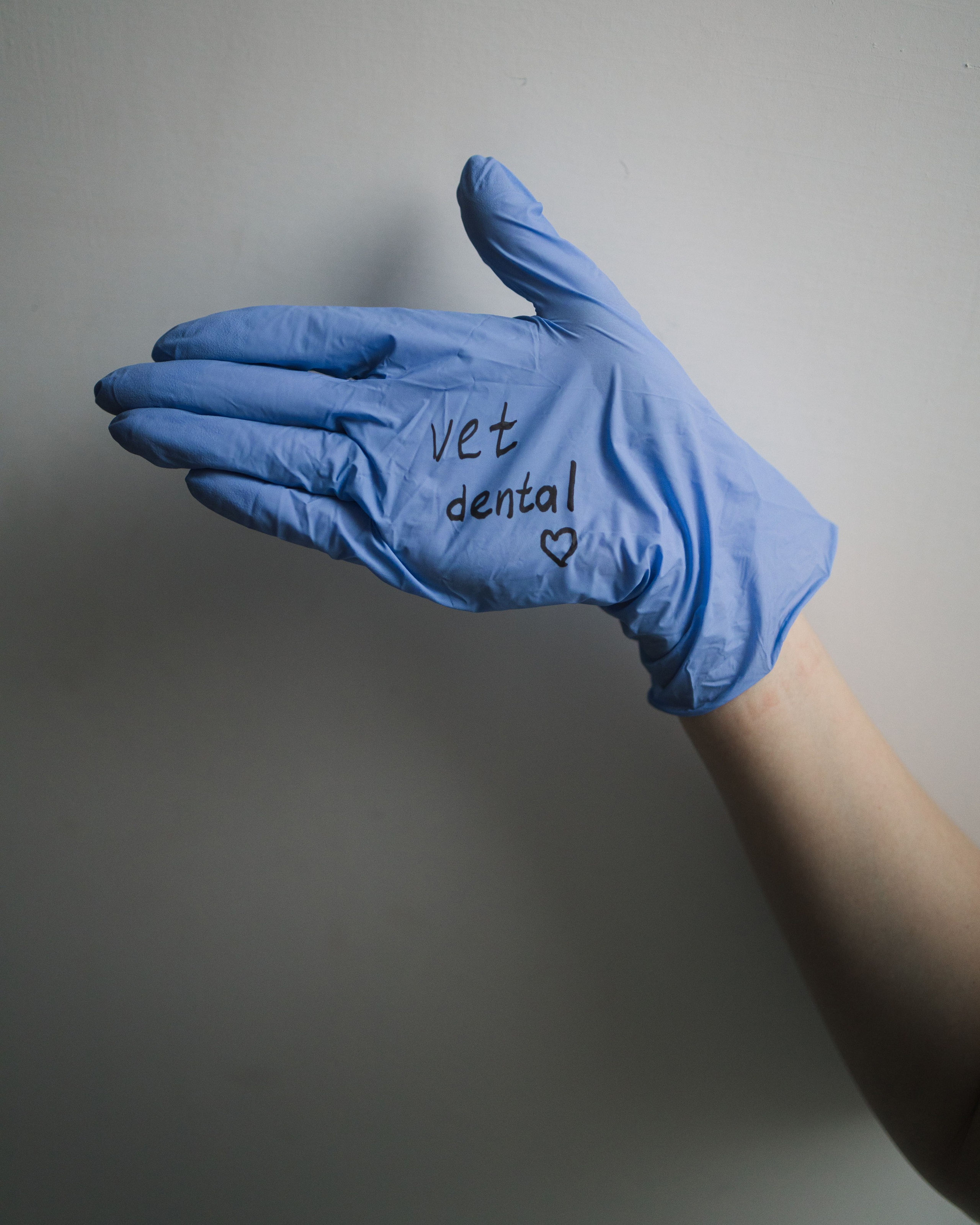 Ветеринар-стоматолог. Портретный фотограф СПб, женский фотограф, минимализм и эстетика