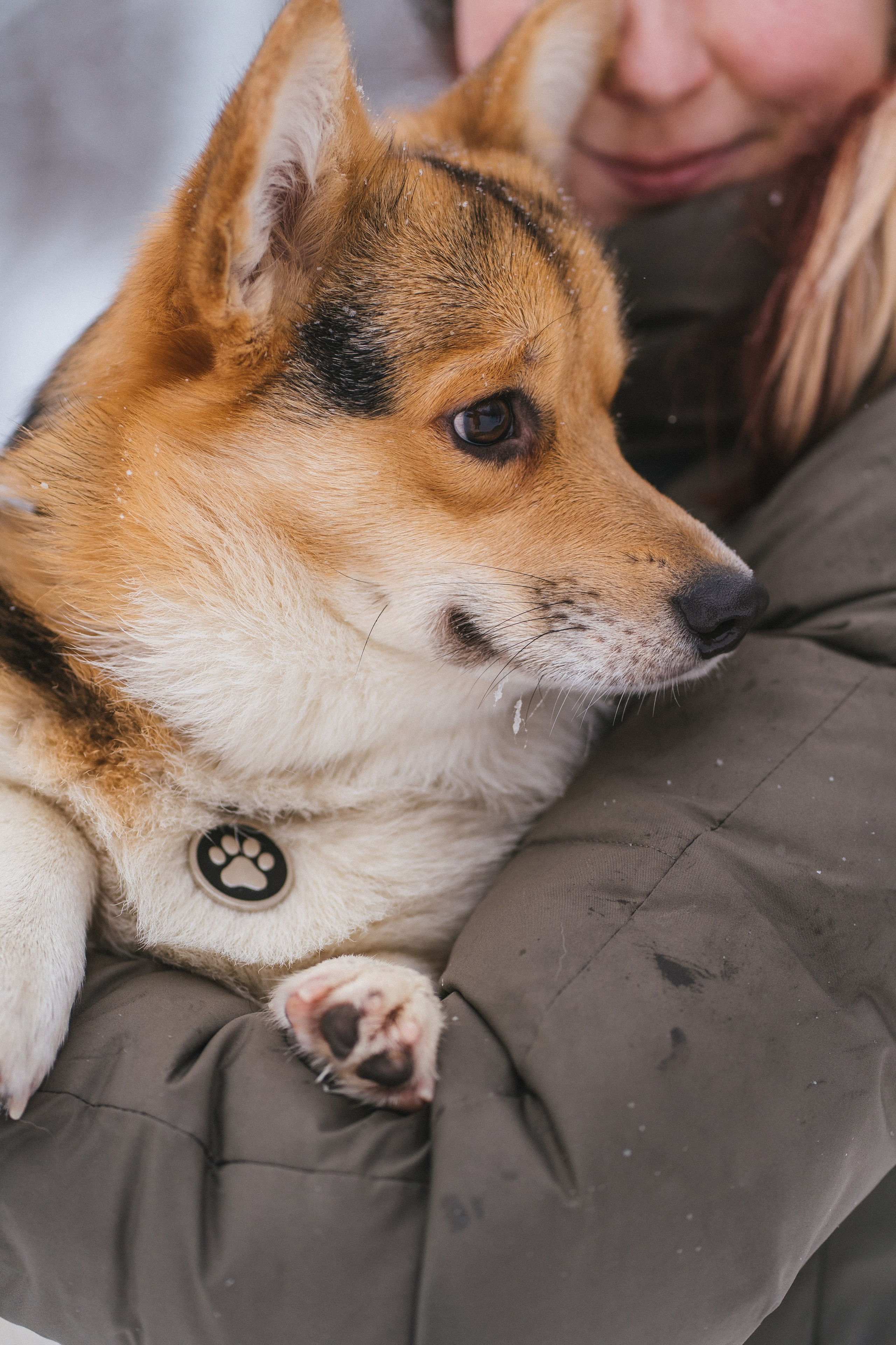 Каспер и Полина. Свадебный фотограф в Москве Анна Полушина