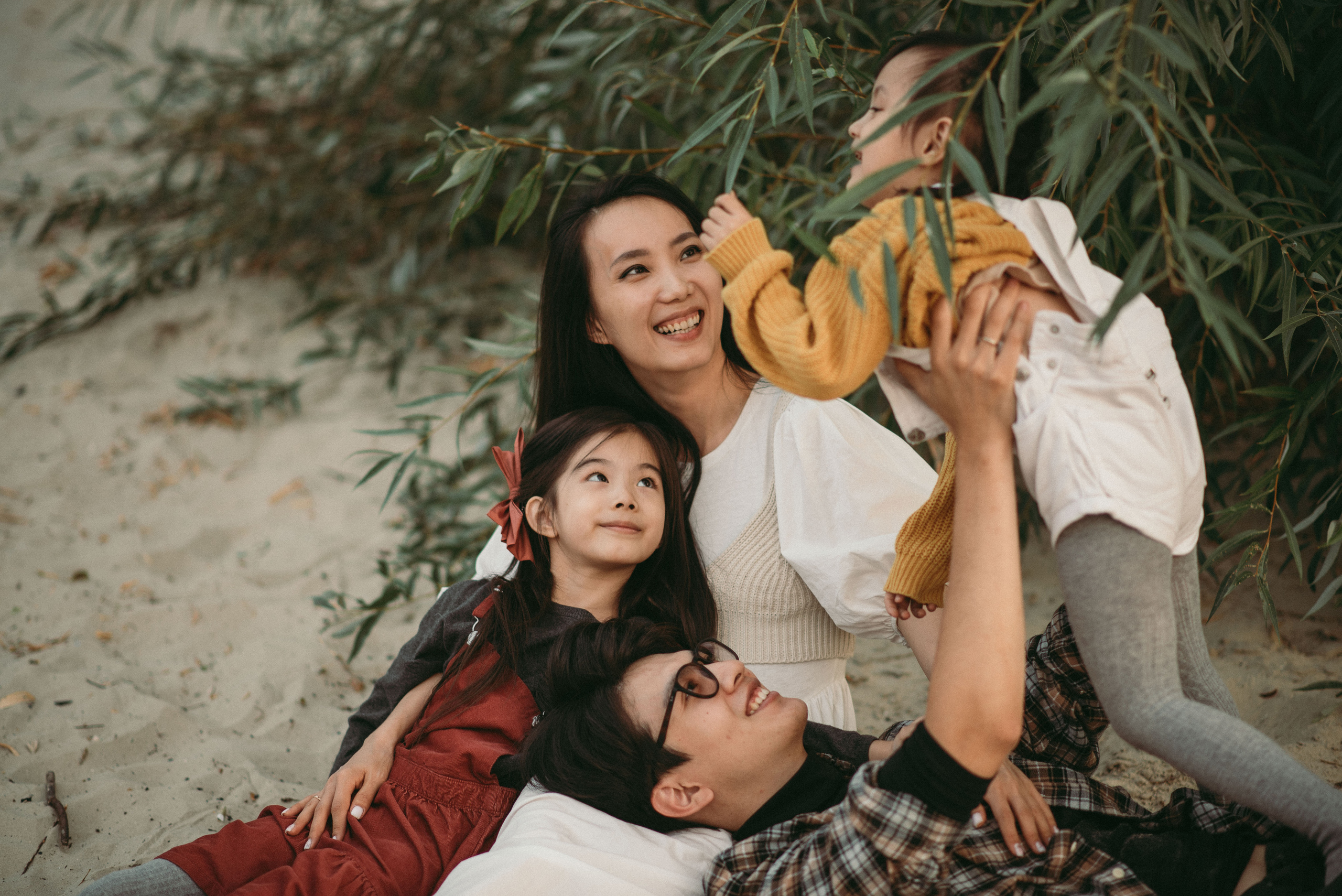 Семья Ли. Главная